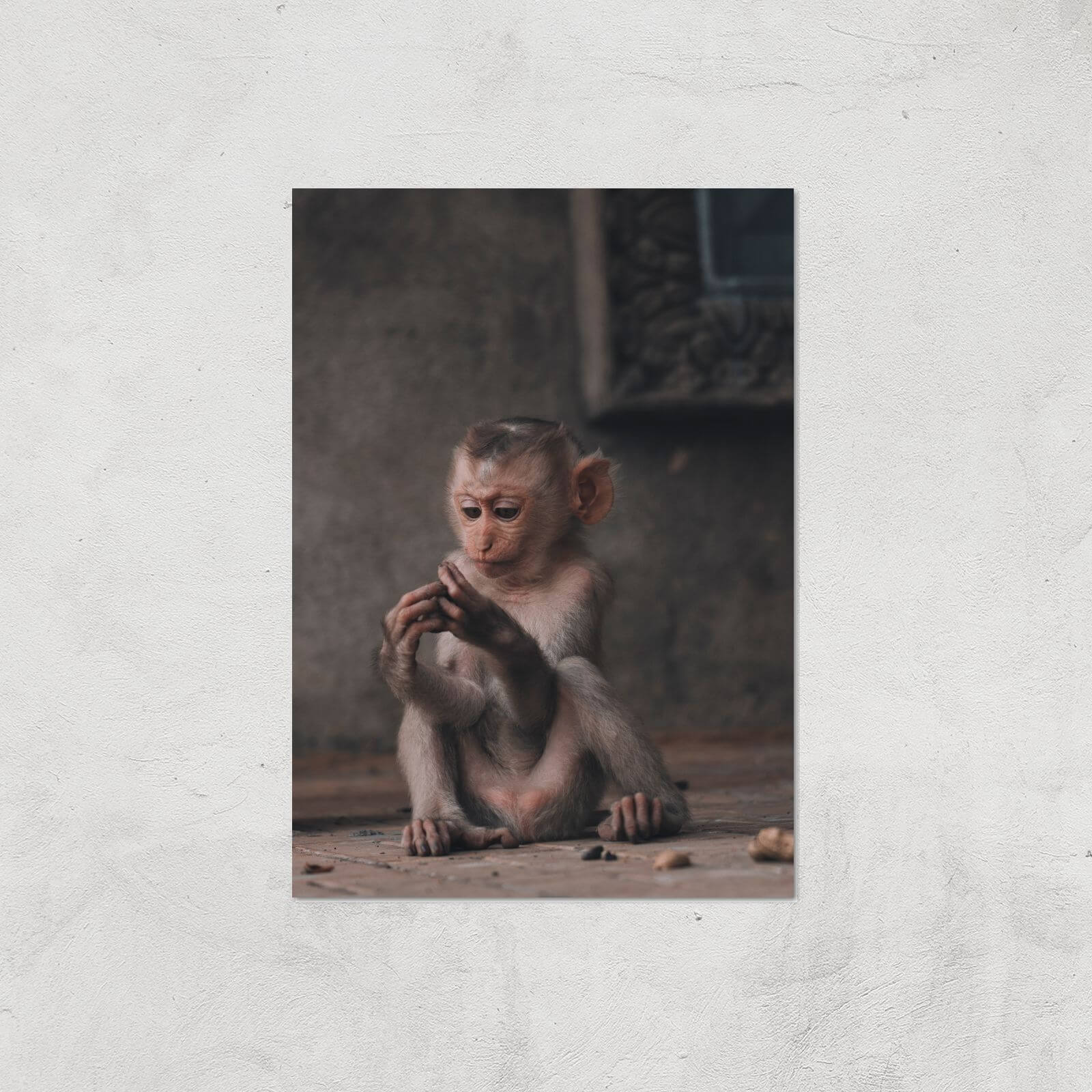 Baby Monkey Giclee Art Print - A4 - Print Only