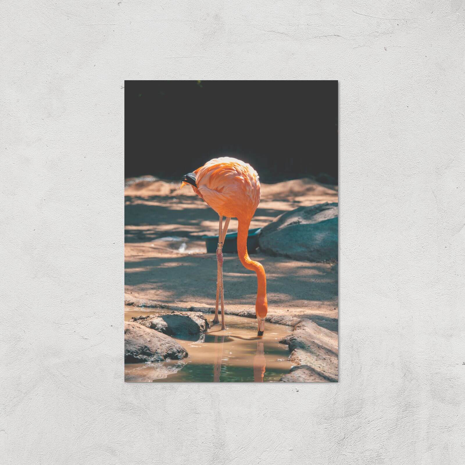 Drinking Flamingo Giclee Art Print - A4 - Print Only