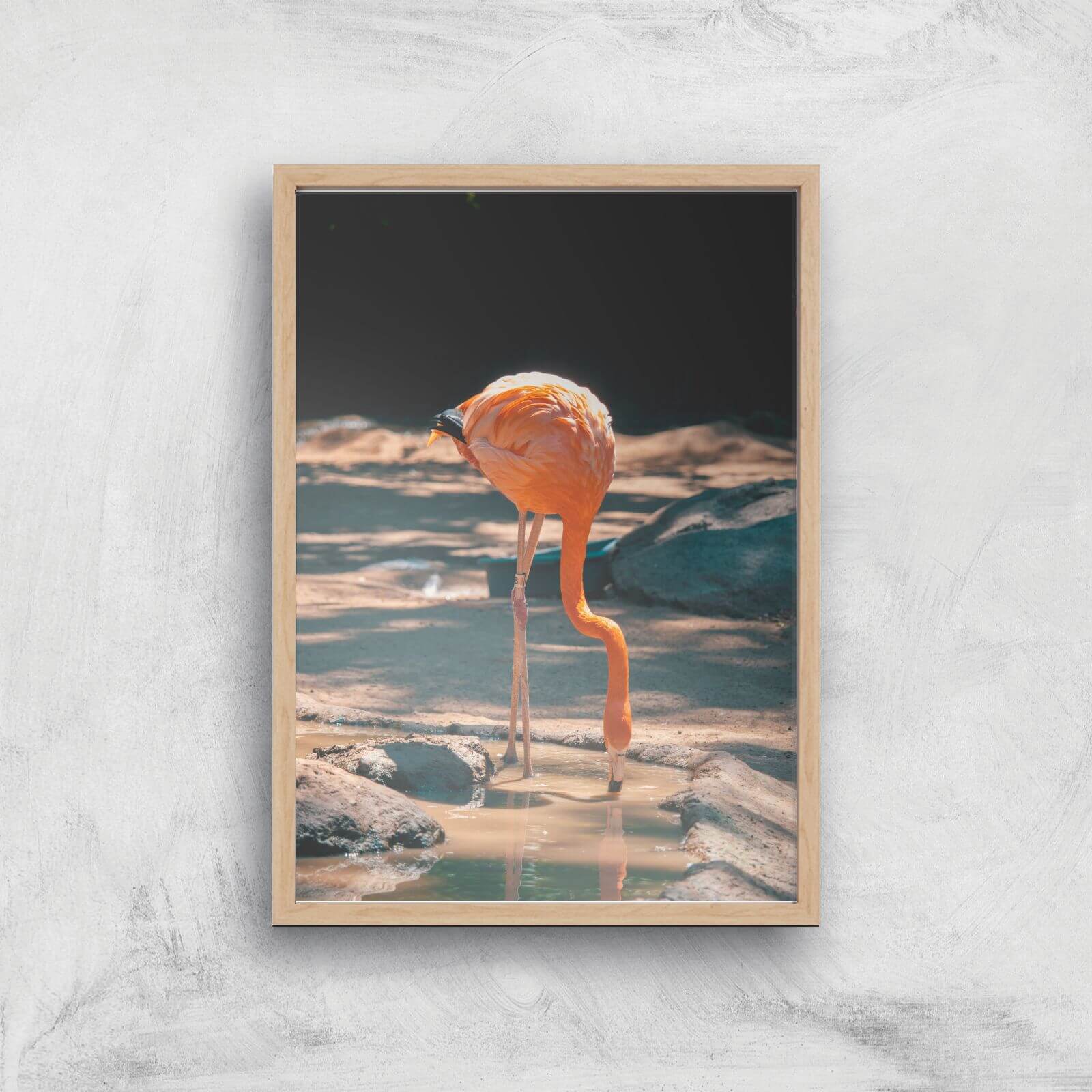 Drinking Flamingo Giclee Art Print - A4 - Wooden Frame