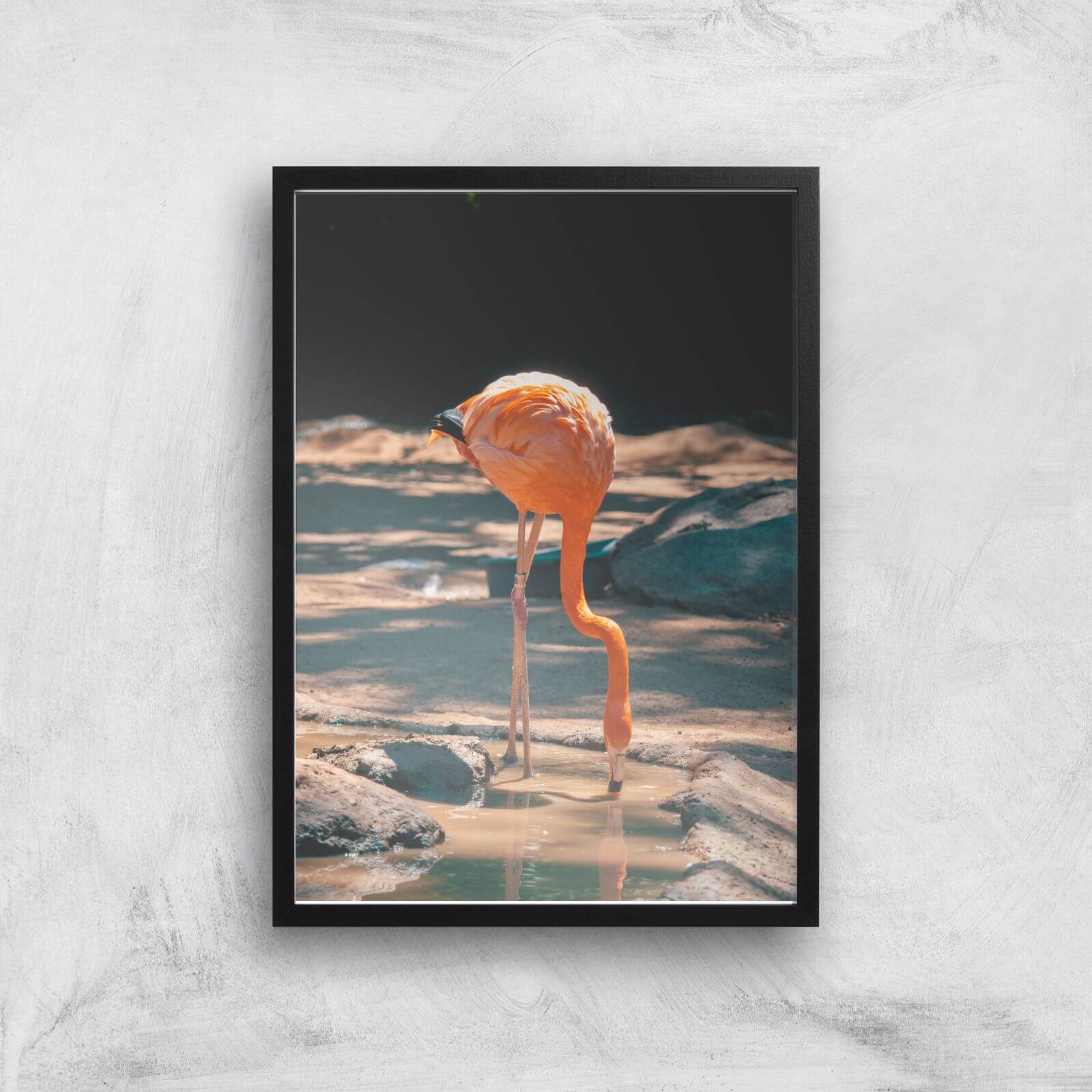 Drinking Flamingo Giclee Art Print - A3 - Black Frame