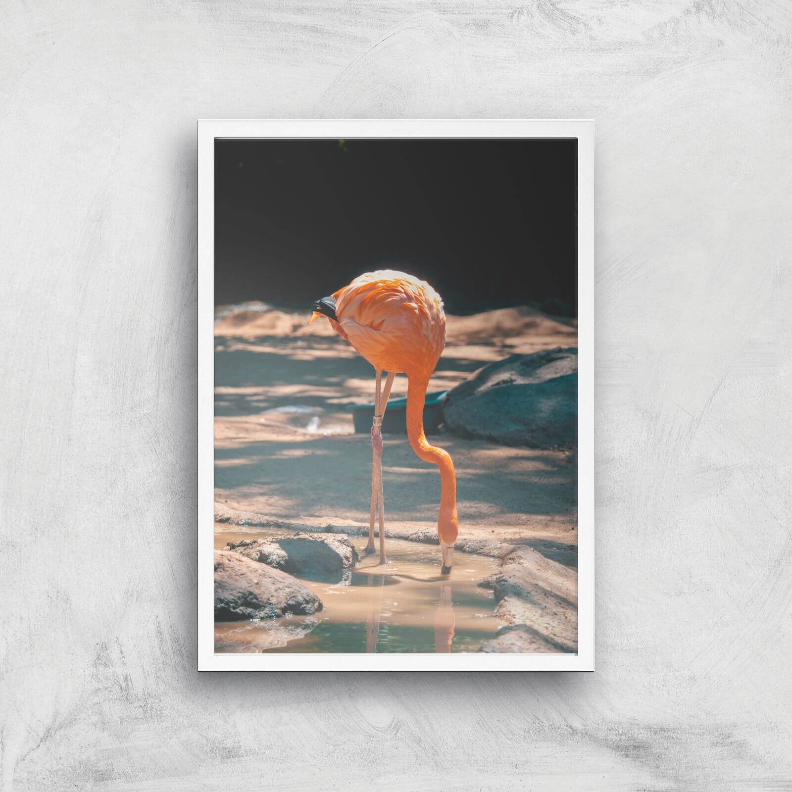 Drinking Flamingo Giclee Art Print - A2 - White Frame