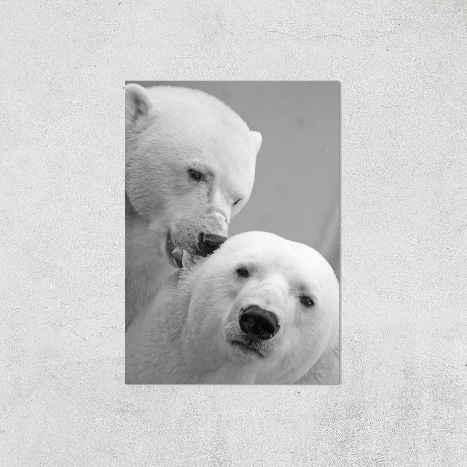 A Little Nibble Giclee Art Print - A3 - Print Only