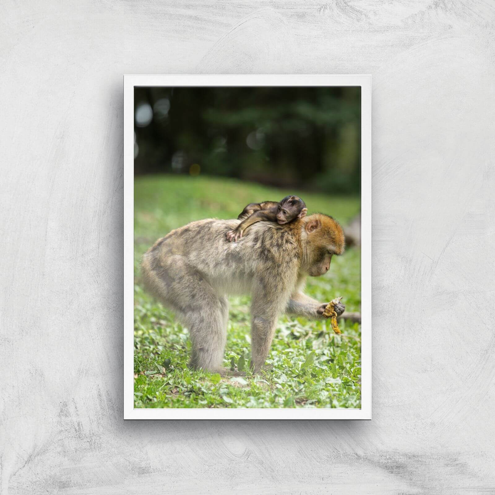 Resting On Mum Giclee Art Print - A3 - White Frame