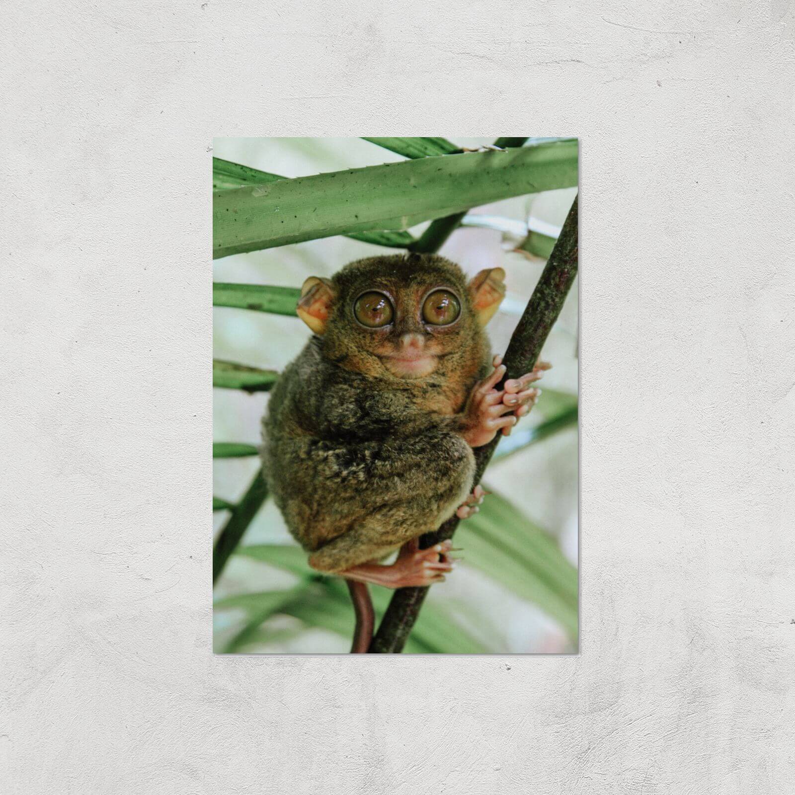 Those Big Brown Eyes Giclee Art Print - A3 - Print Only