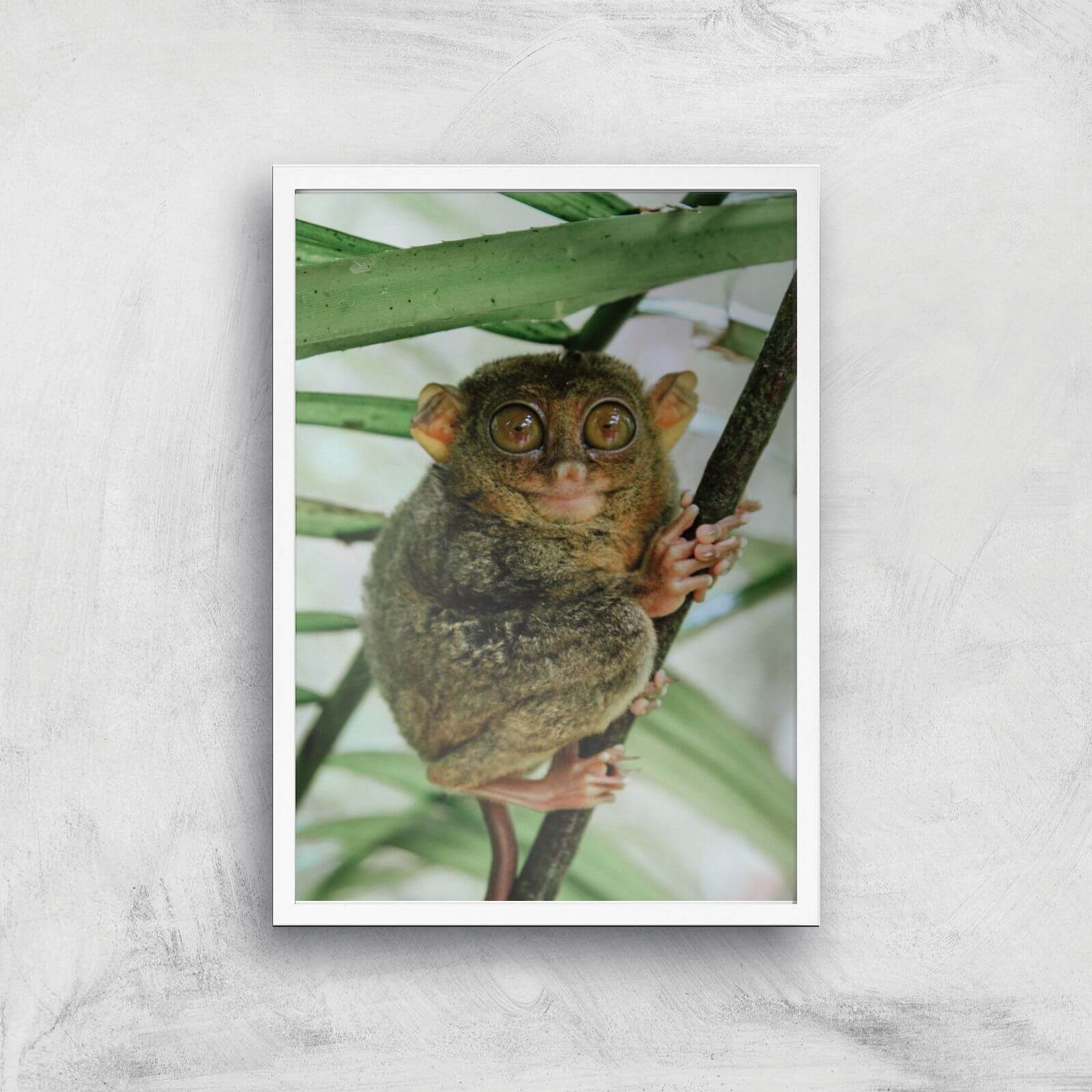 Those Big Brown Eyes Giclee Art Print - A2 - White Frame