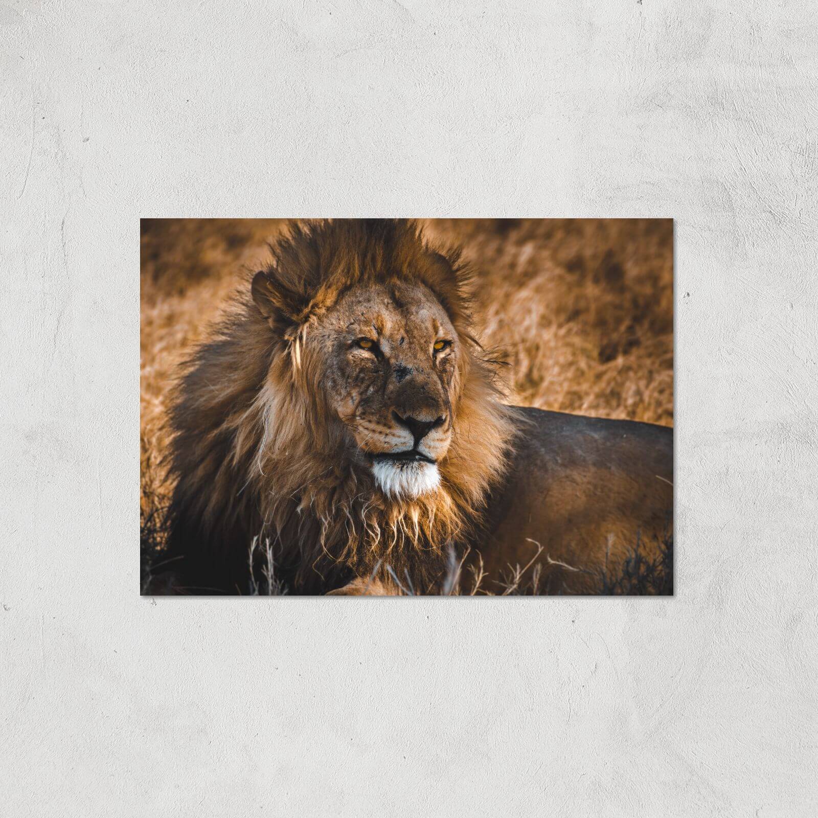 King Of The Savanna Giclee Art Print - A4 - Print Only