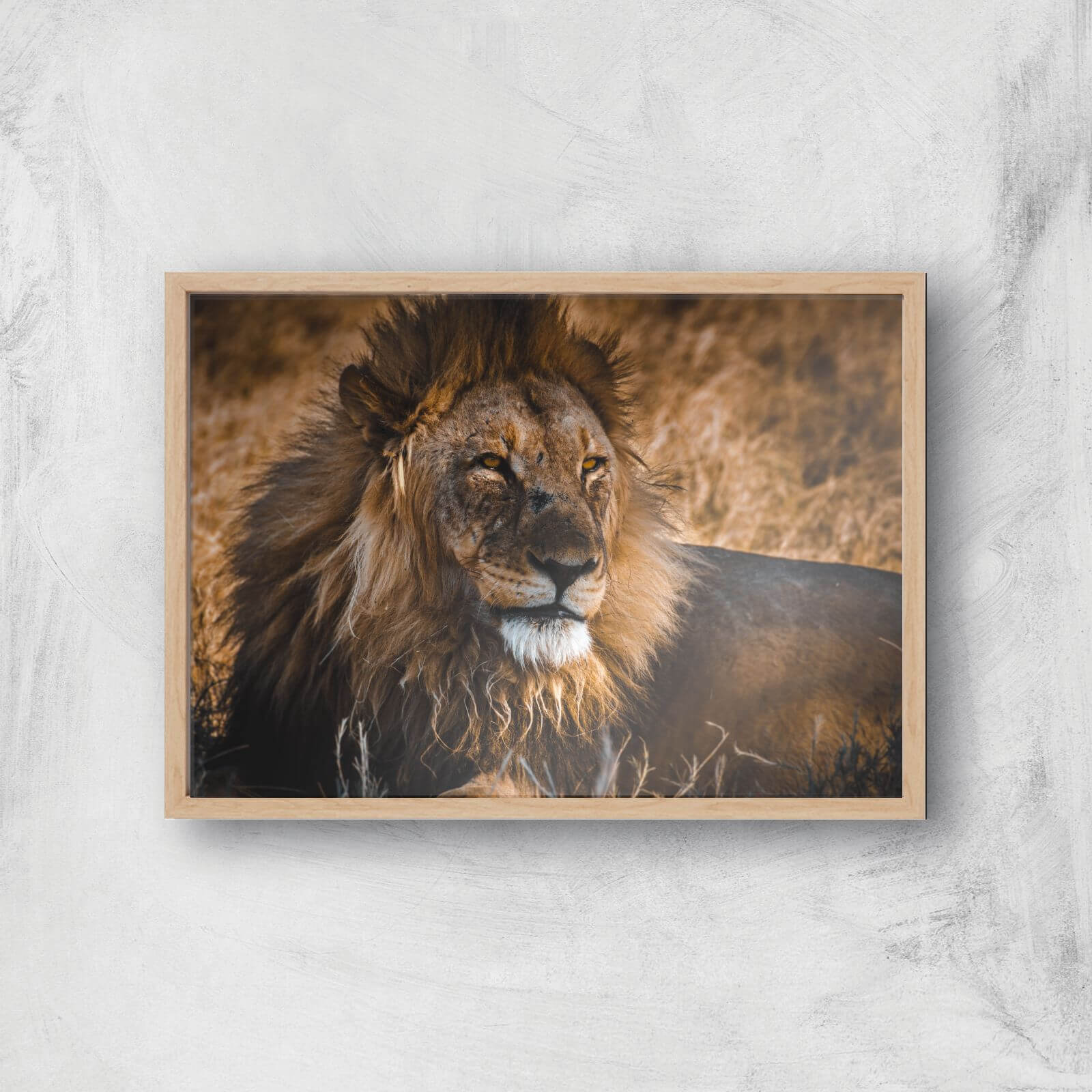 King Of The Savanna Giclee Art Print - A4 - Wooden Frame