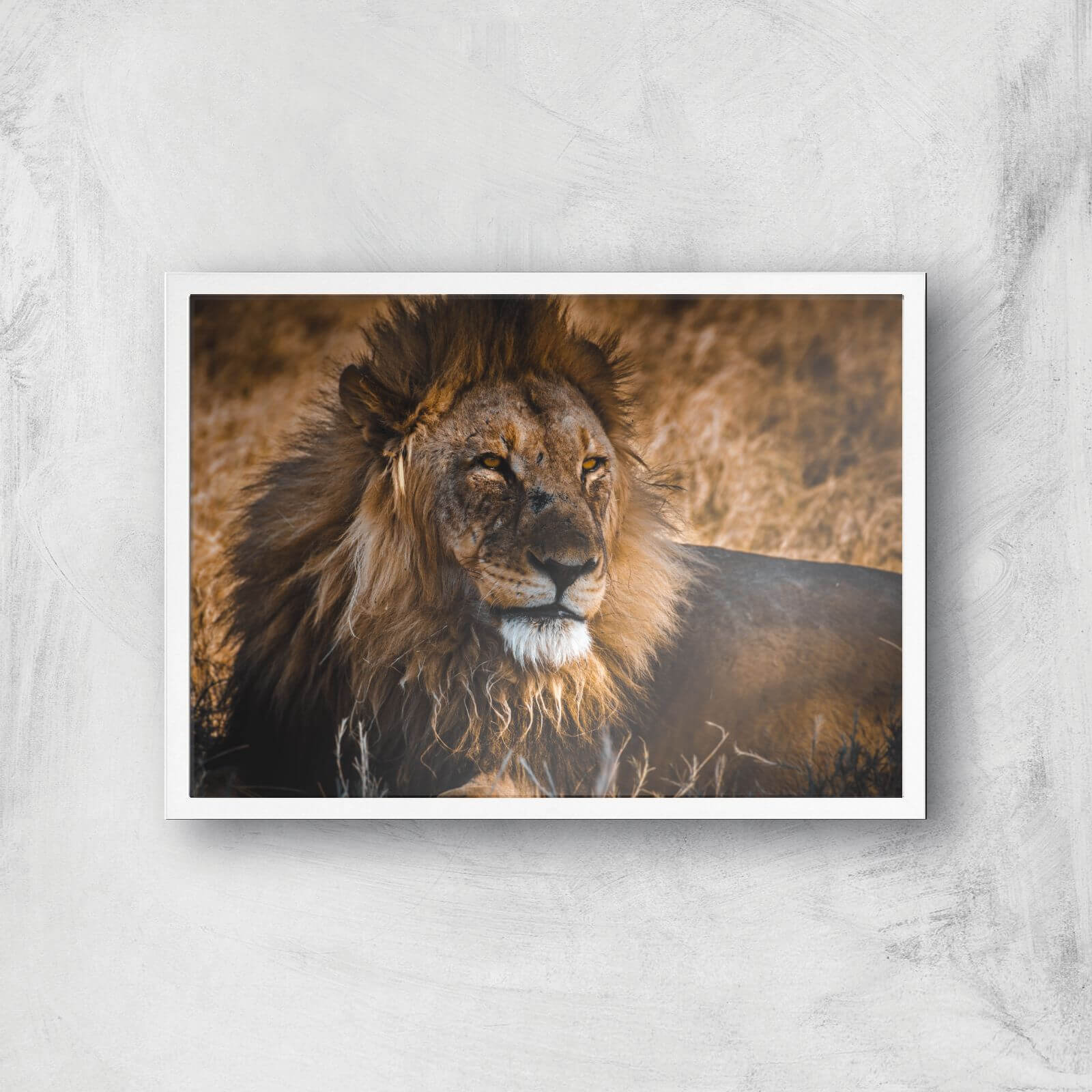 King Of The Savanna Giclee Art Print - A3 - White Frame