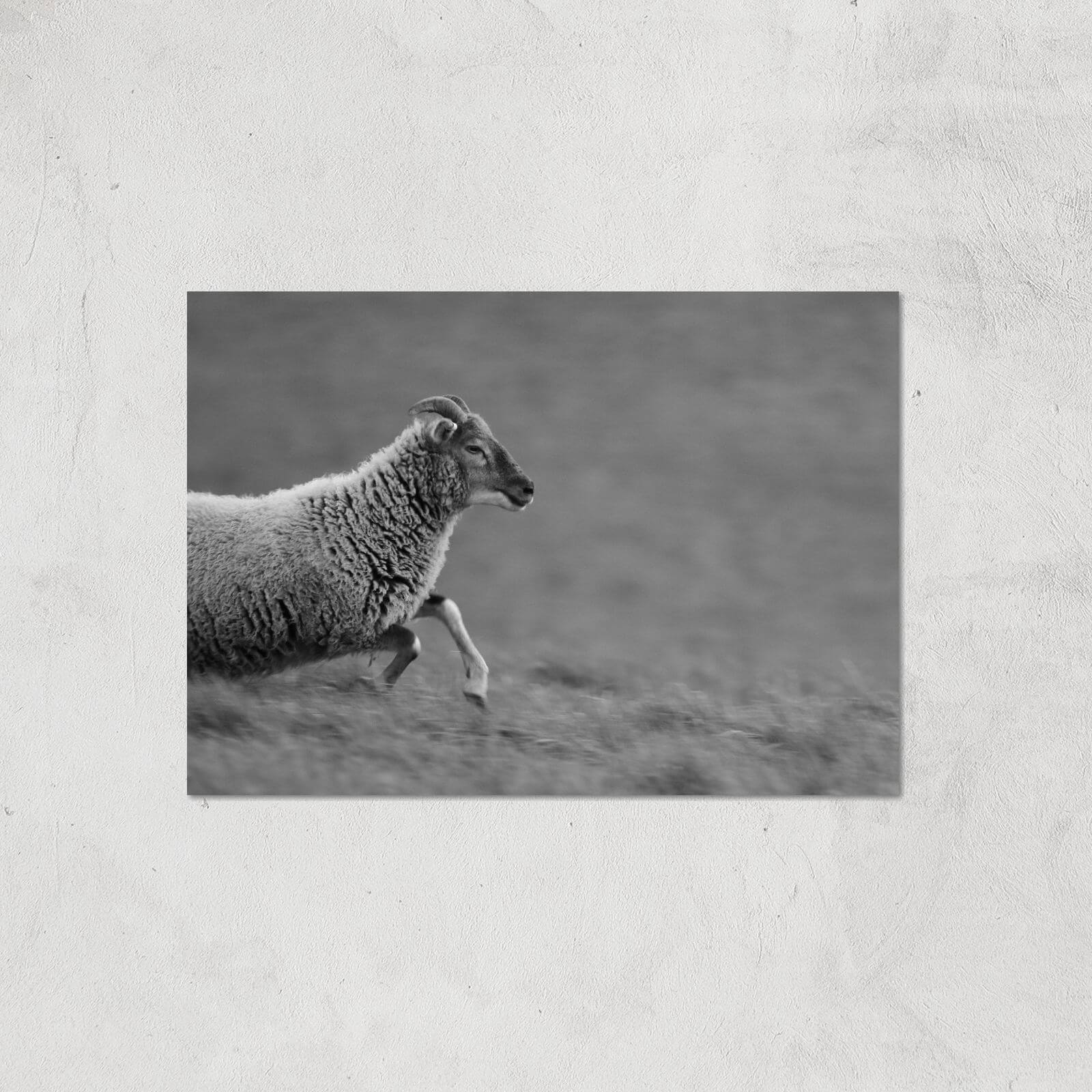 Charge! Giclee Art Print - A2 - Print Only