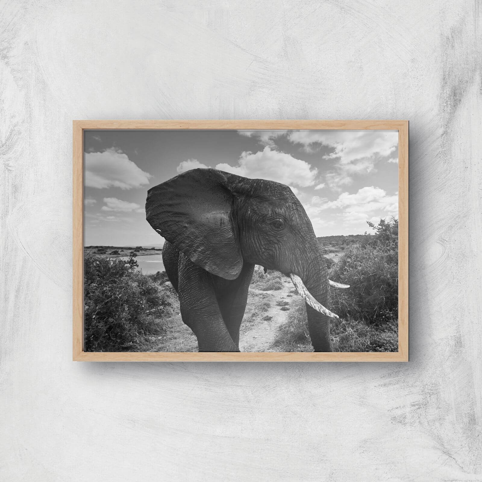 Majestic Elephant Giclee Art Print - A2 - Wooden Frame
