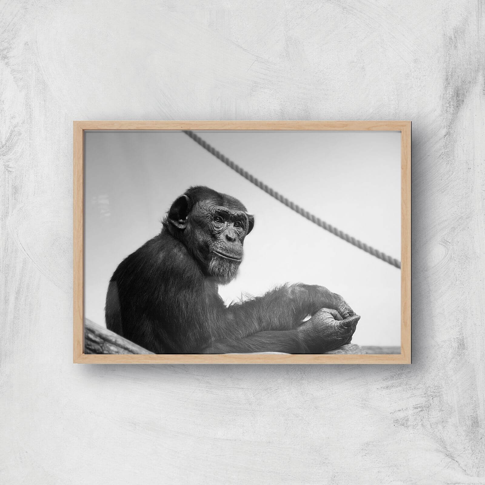 Chimpanzee Lost In Thought Giclee Art Print - A4 - Wooden Frame