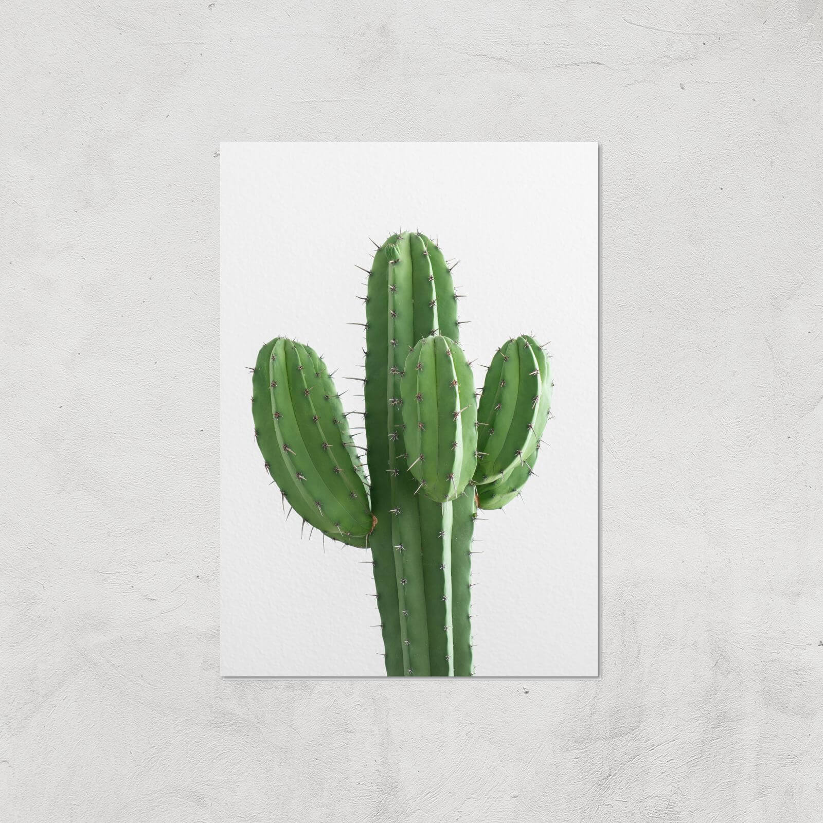 Cactus Giclee Art Print - A4 - Print Only