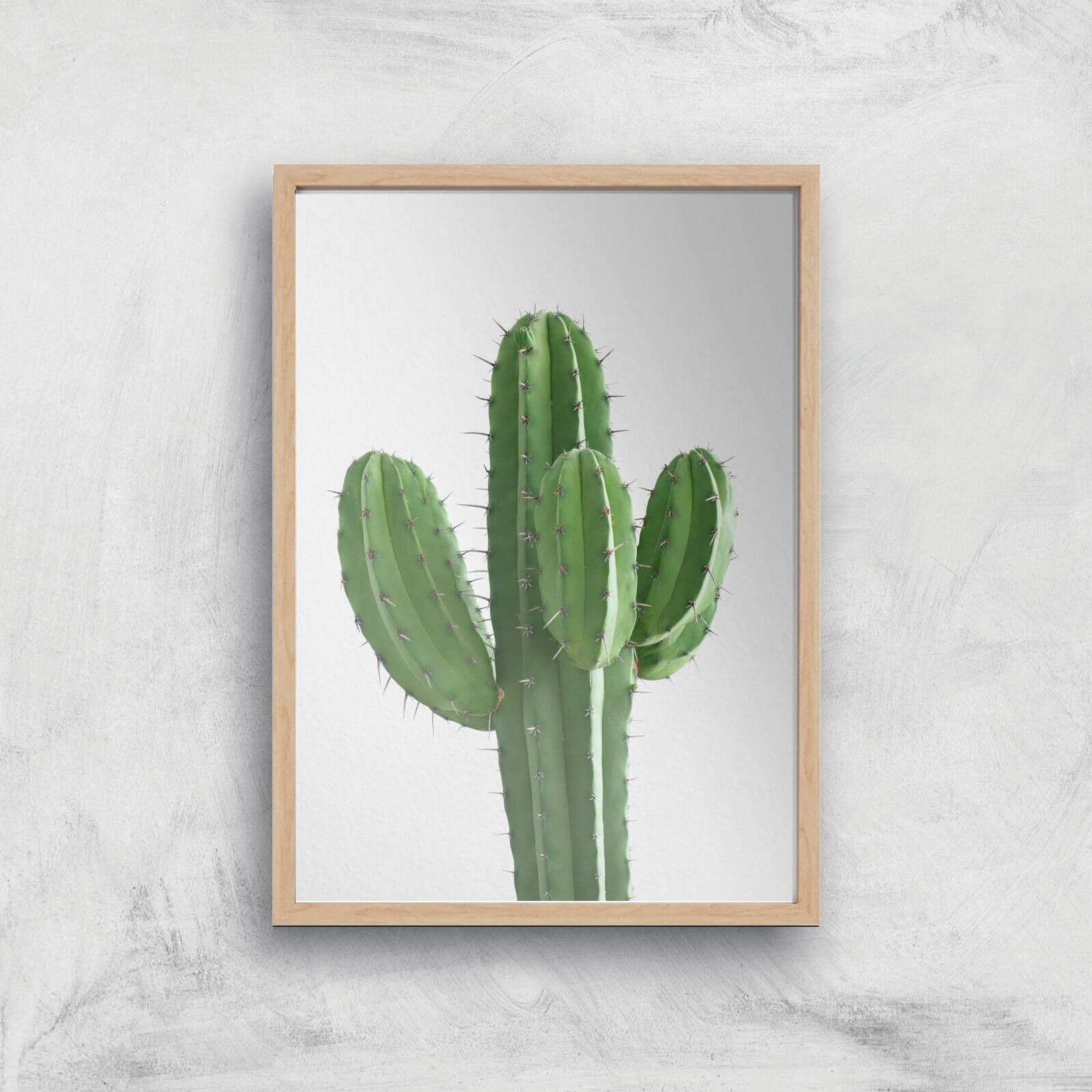 Cactus Giclee Art Print - A3 - Wooden Frame