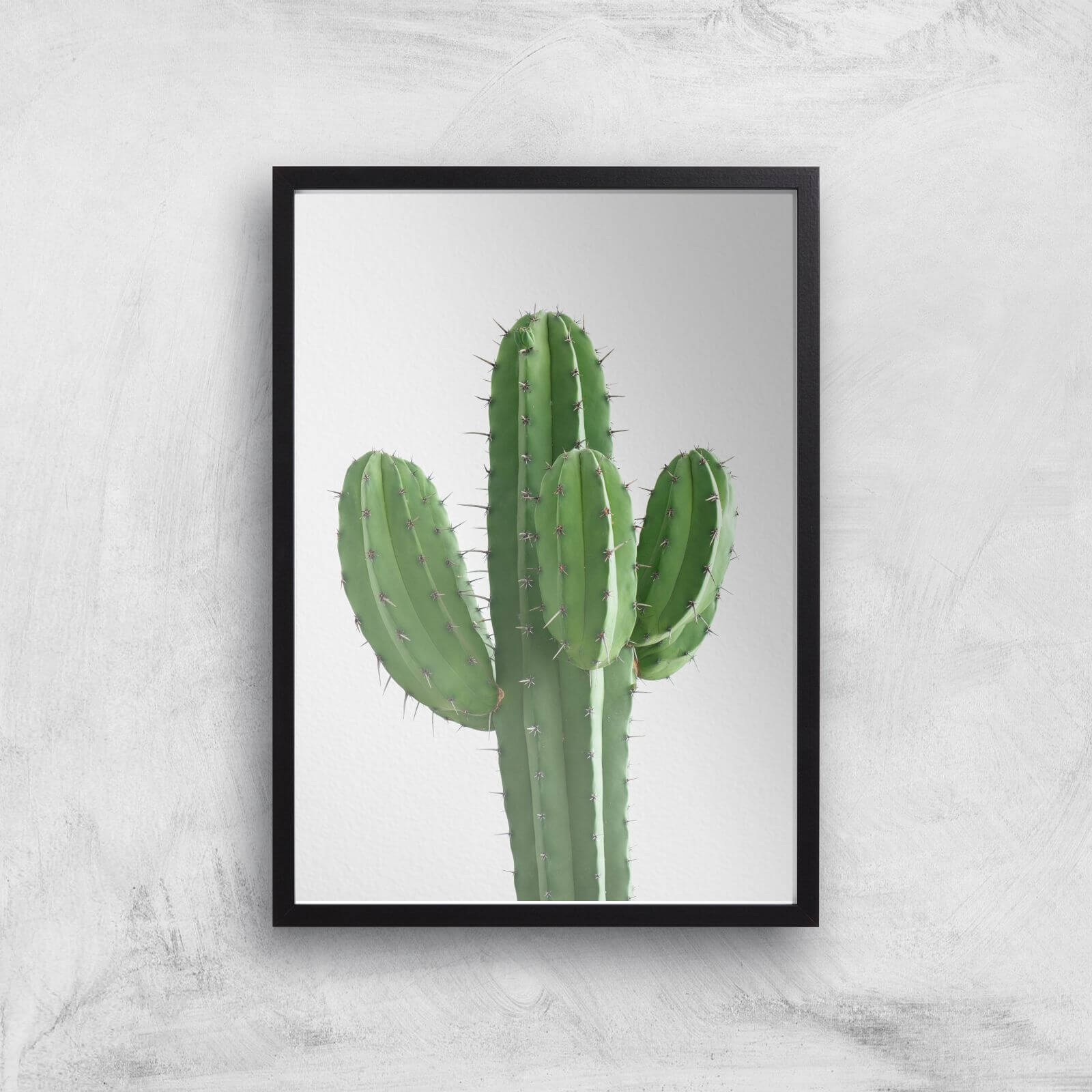 Cactus Giclee Art Print - A3 - Black Frame