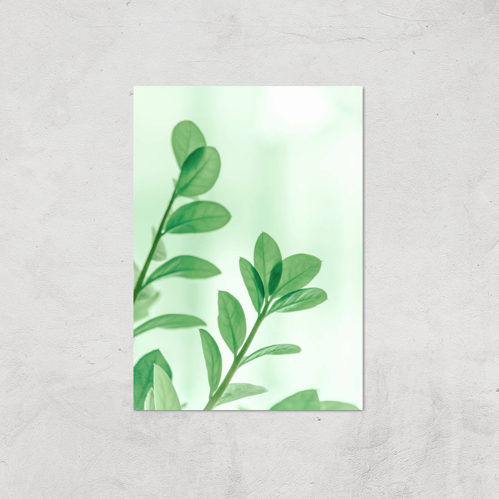 Washed Out Leaves Giclee Art Print - A2 - Print Only