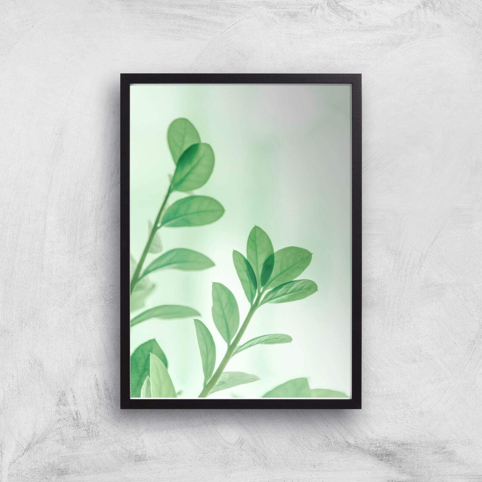 Washed Out Leaves Giclee Art Print - A2 - Black Frame