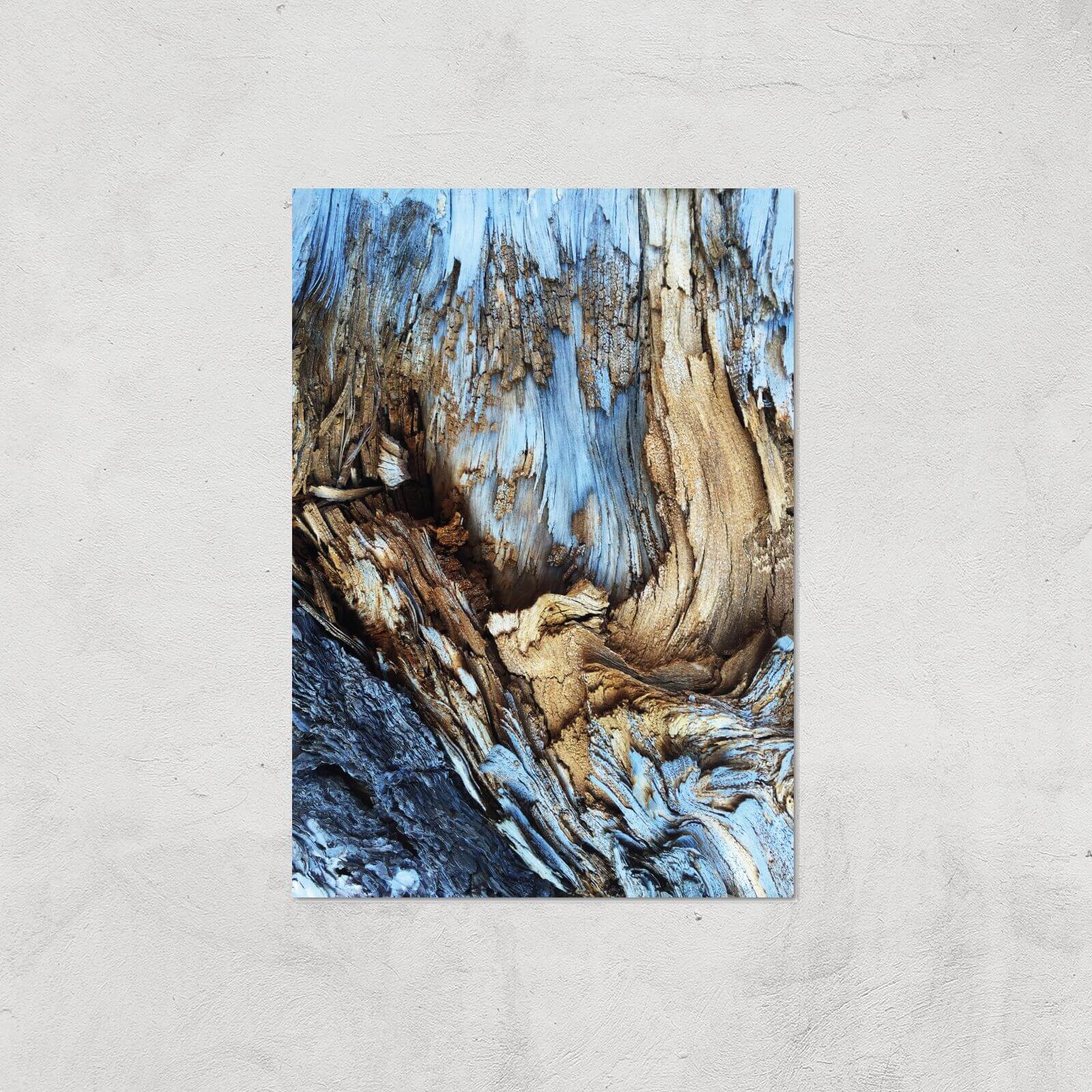 Old Forest Giclee Art Print - A4 - Print Only