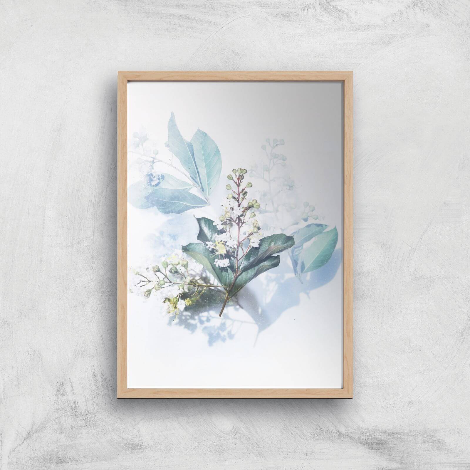 Look At This Flower Giclee Art Print - A2 - Wooden Frame