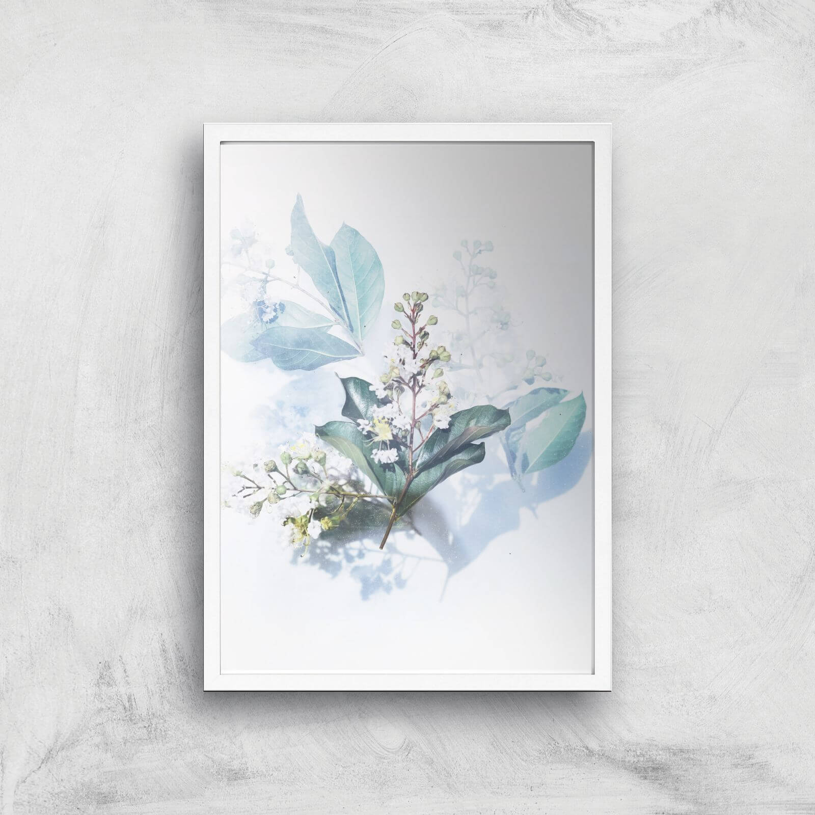 Look At This Flower Giclee Art Print - A2 - White Frame