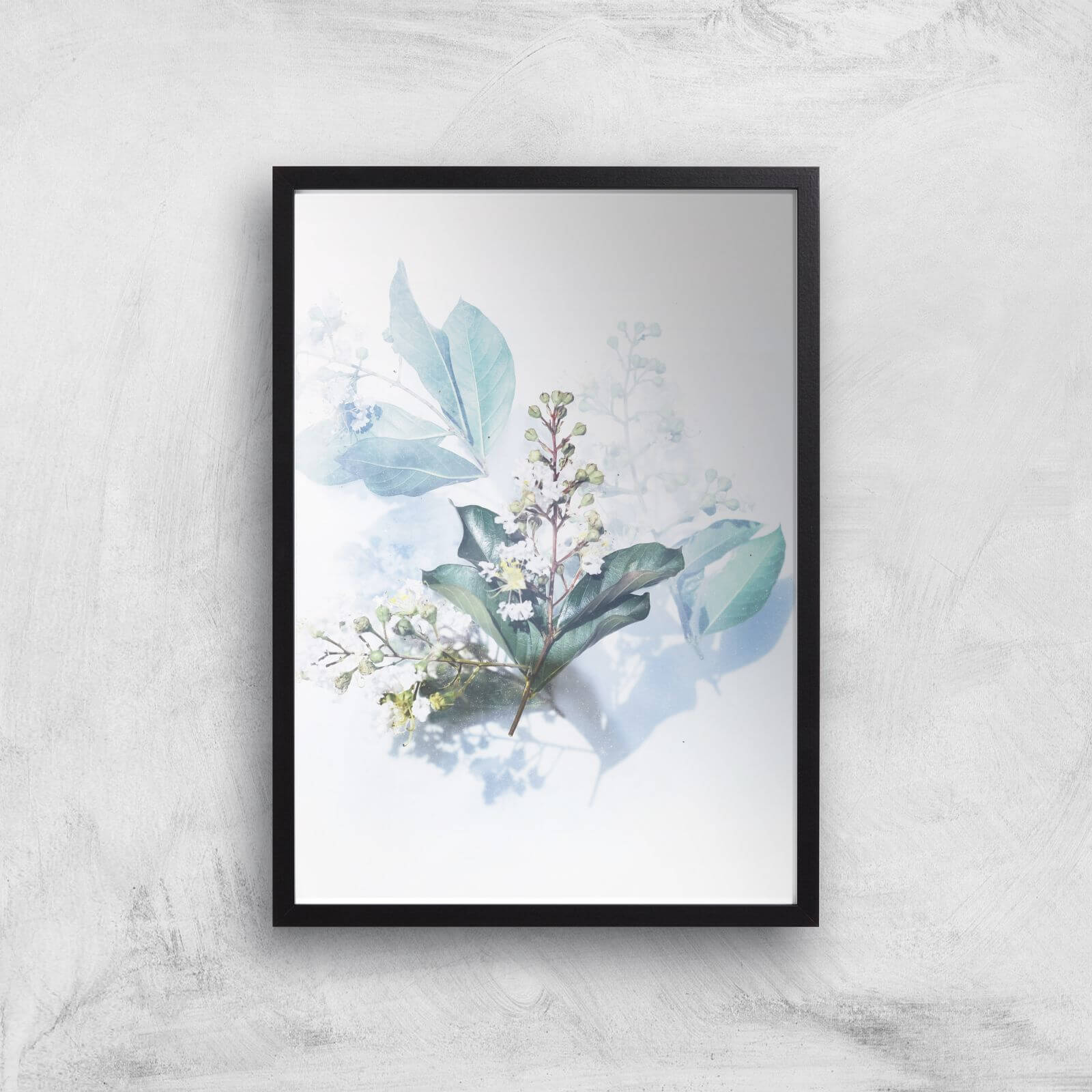 Look At This Flower Giclee Art Print - A2 - Black Frame