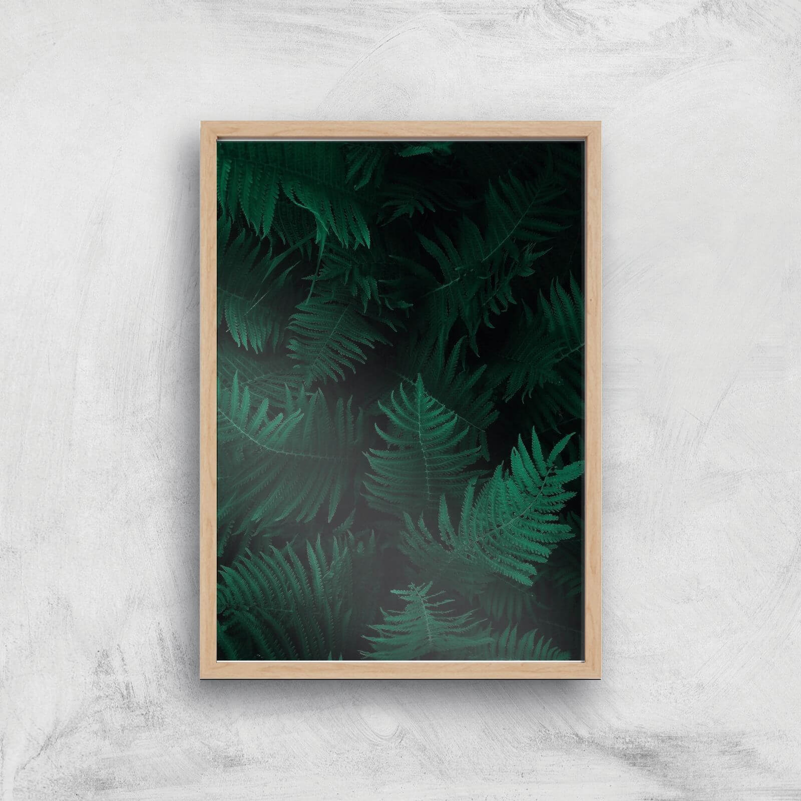Dark Forest From Above Giclee Art Print - A4 - Wooden Frame