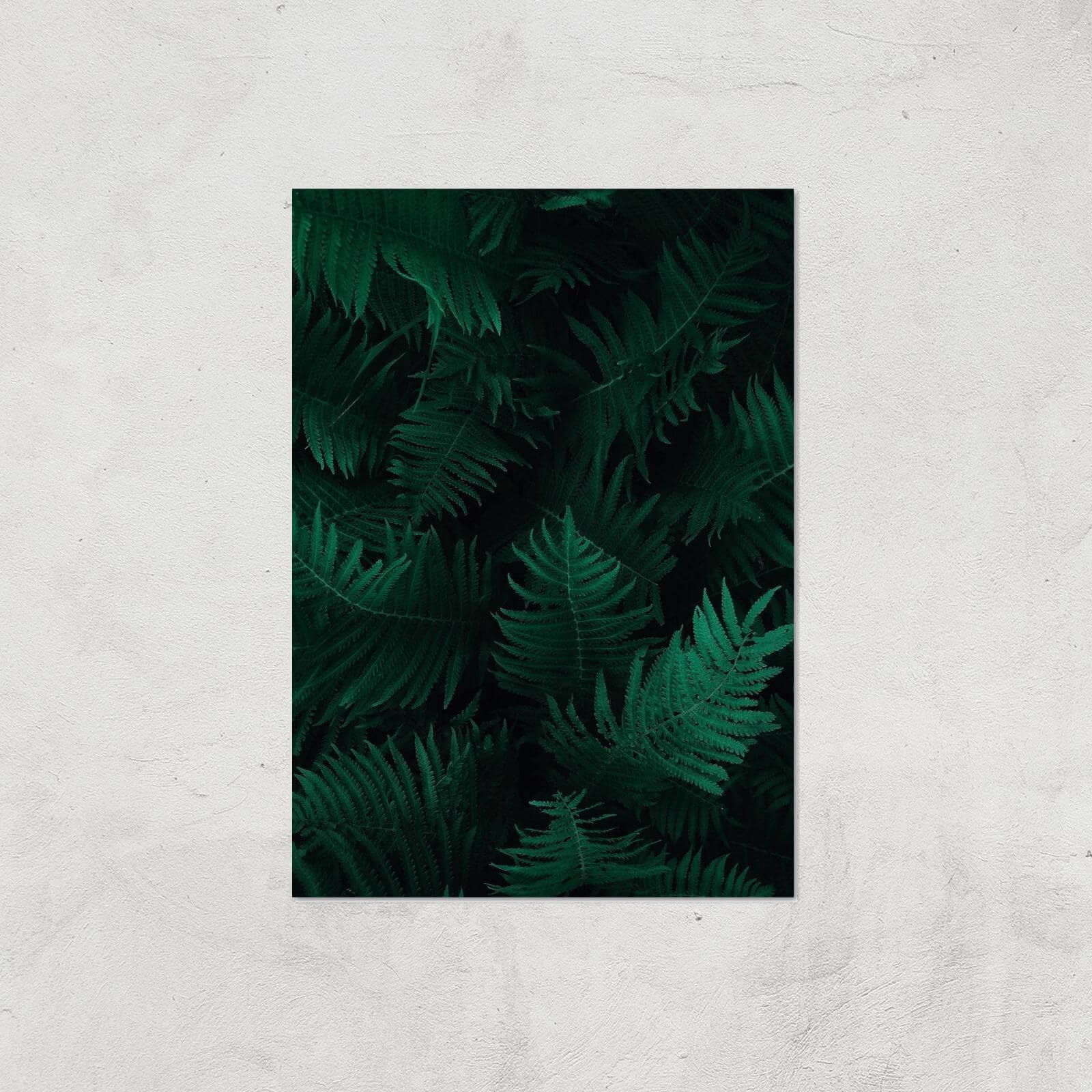 Dark Forest From Above Giclee Art Print - A3 - Print Only