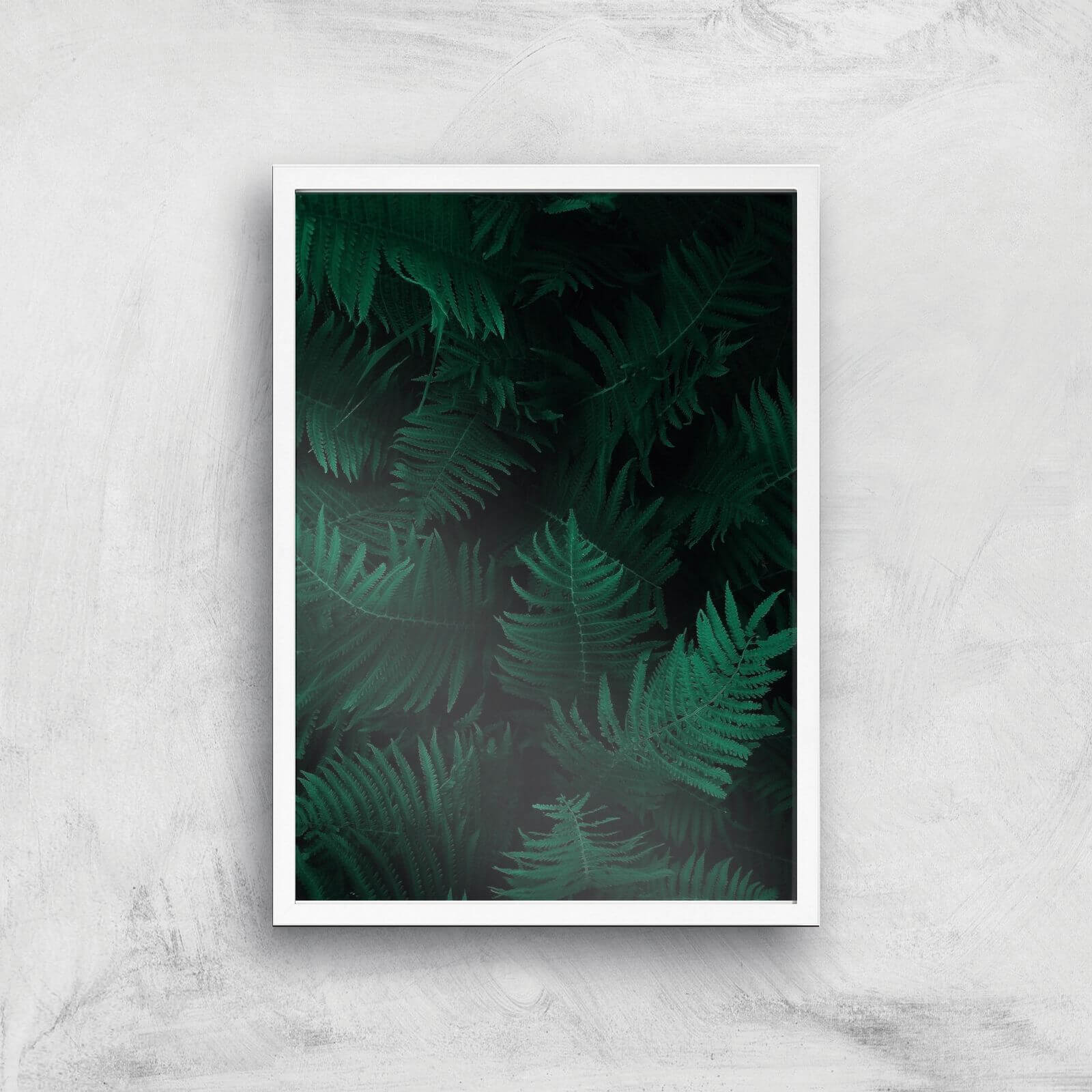 Dark Forest From Above Giclee Art Print - A3 - White Frame