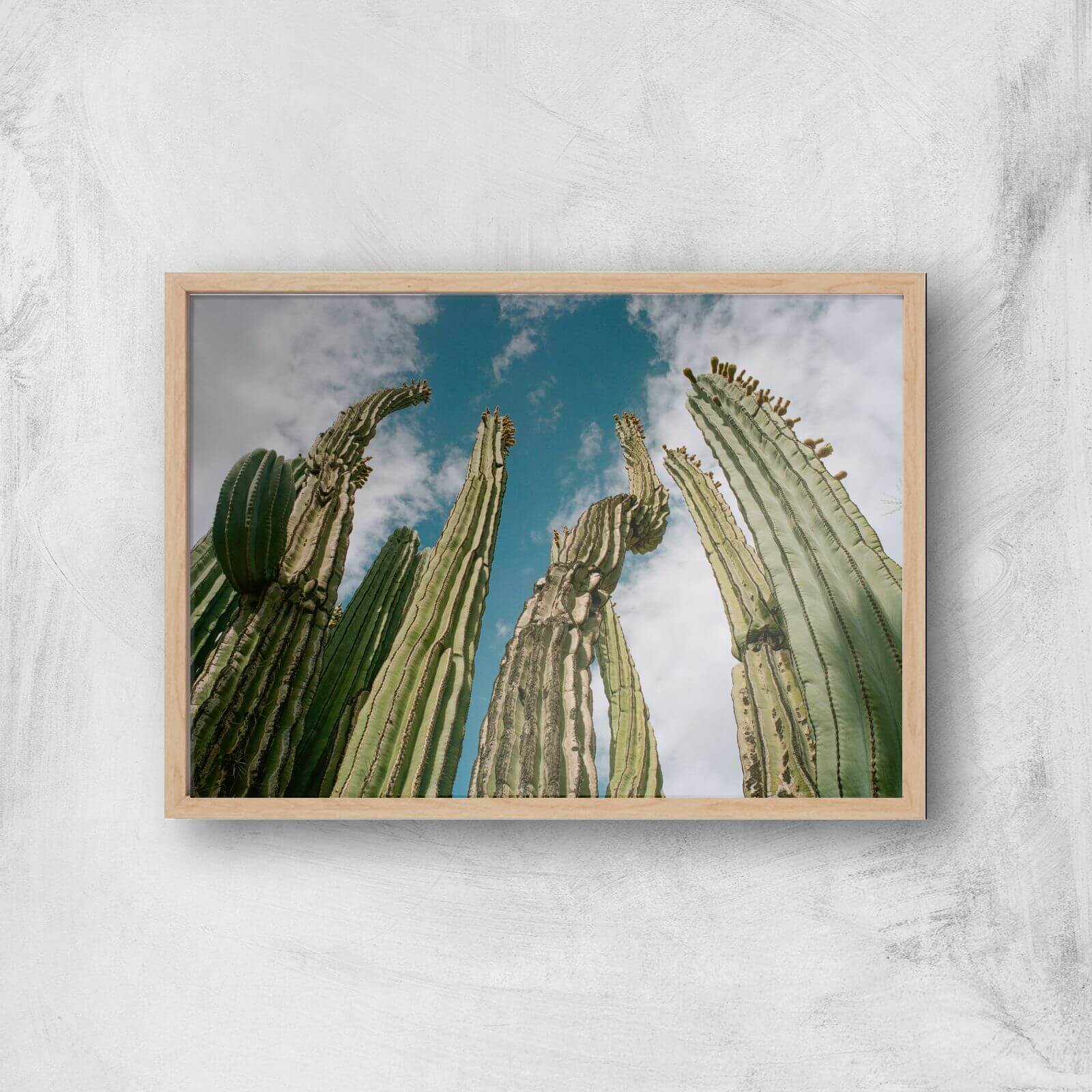 Tall Cactus Giclee Art Print - A4 - Wooden Frame