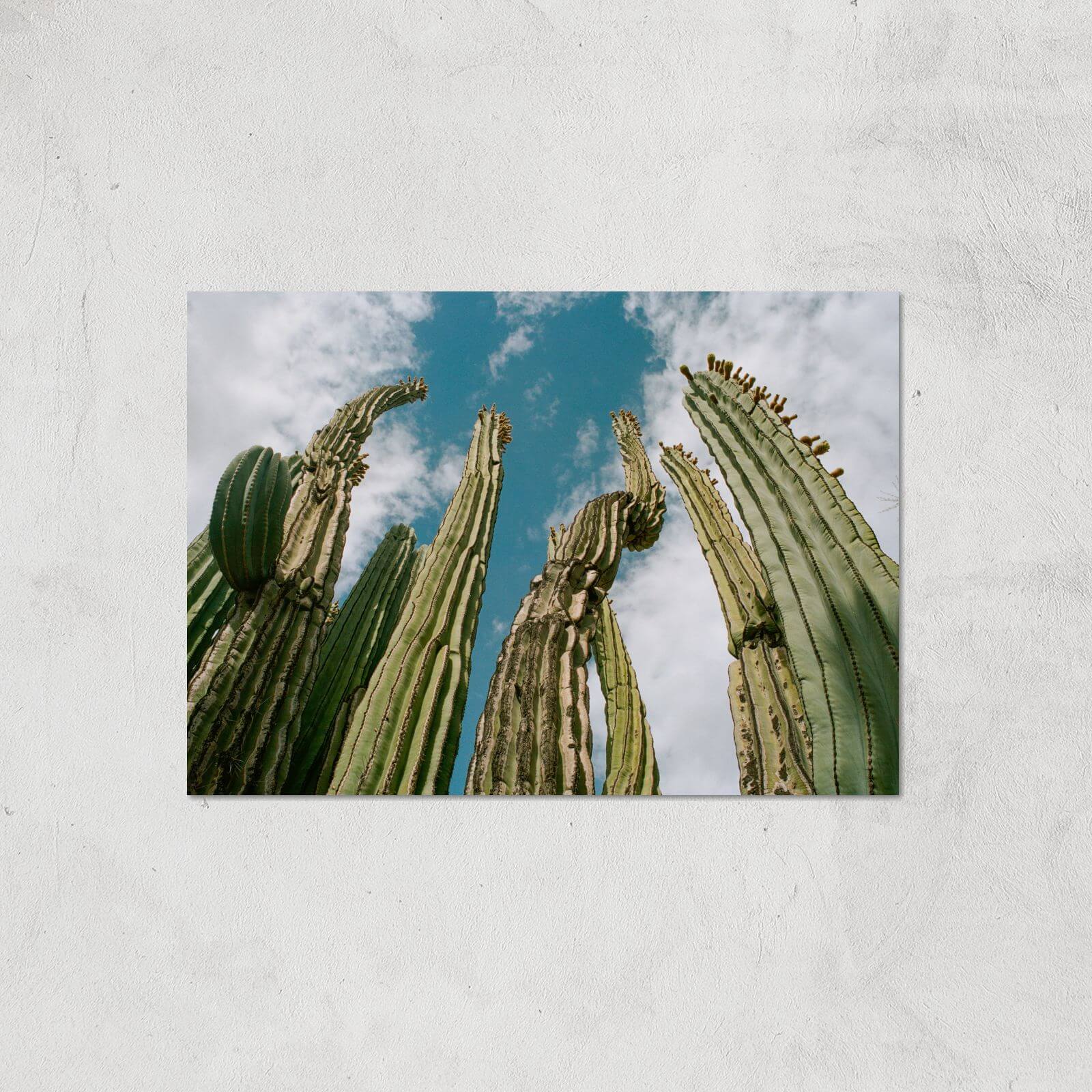 Tall Cactus Giclee Art Print - A2 - Print Only