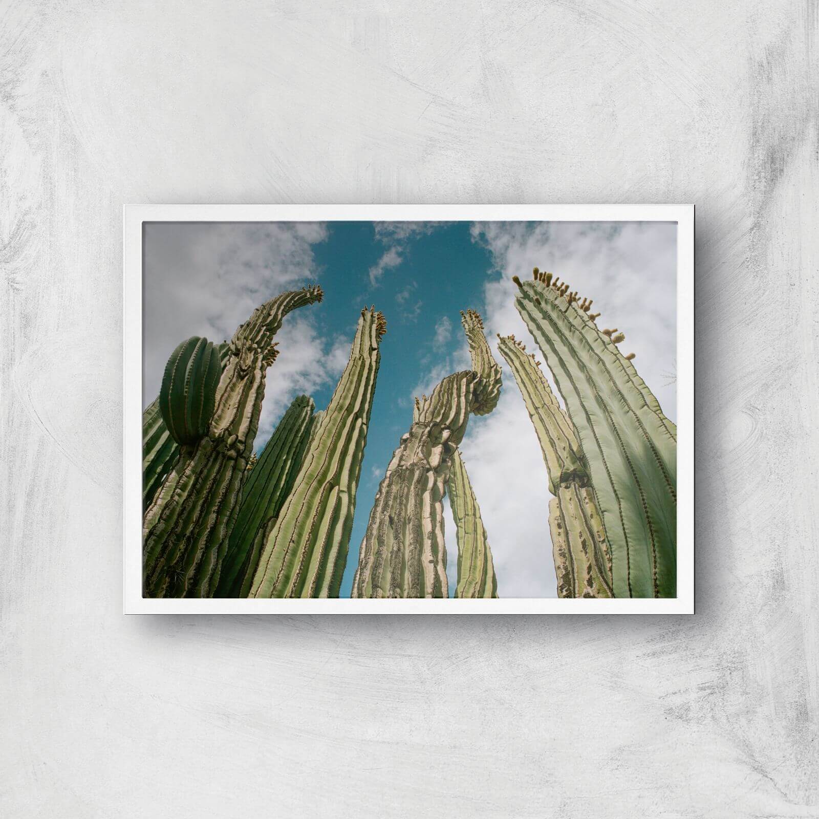 Tall Cactus Giclee Art Print - A2 - White Frame