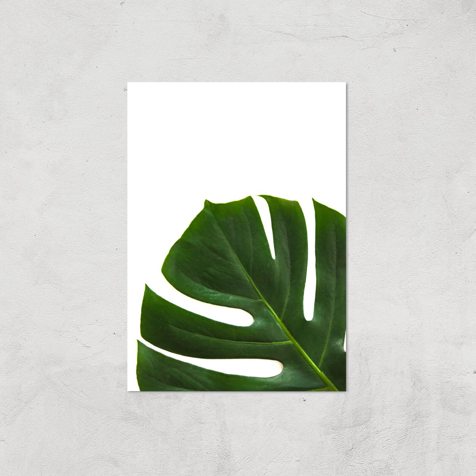 Leaf Section Giclee Art Print - A2 - Print Only
