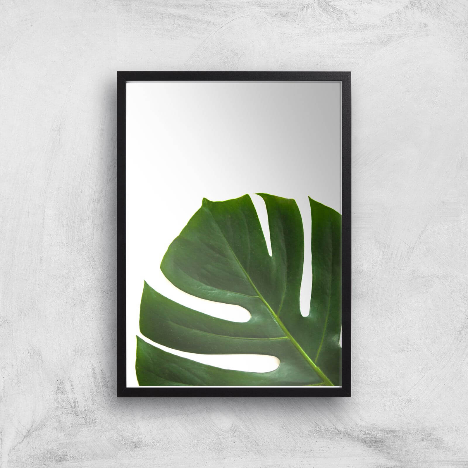 Leaf Section Giclee Art Print - A2 - Black Frame