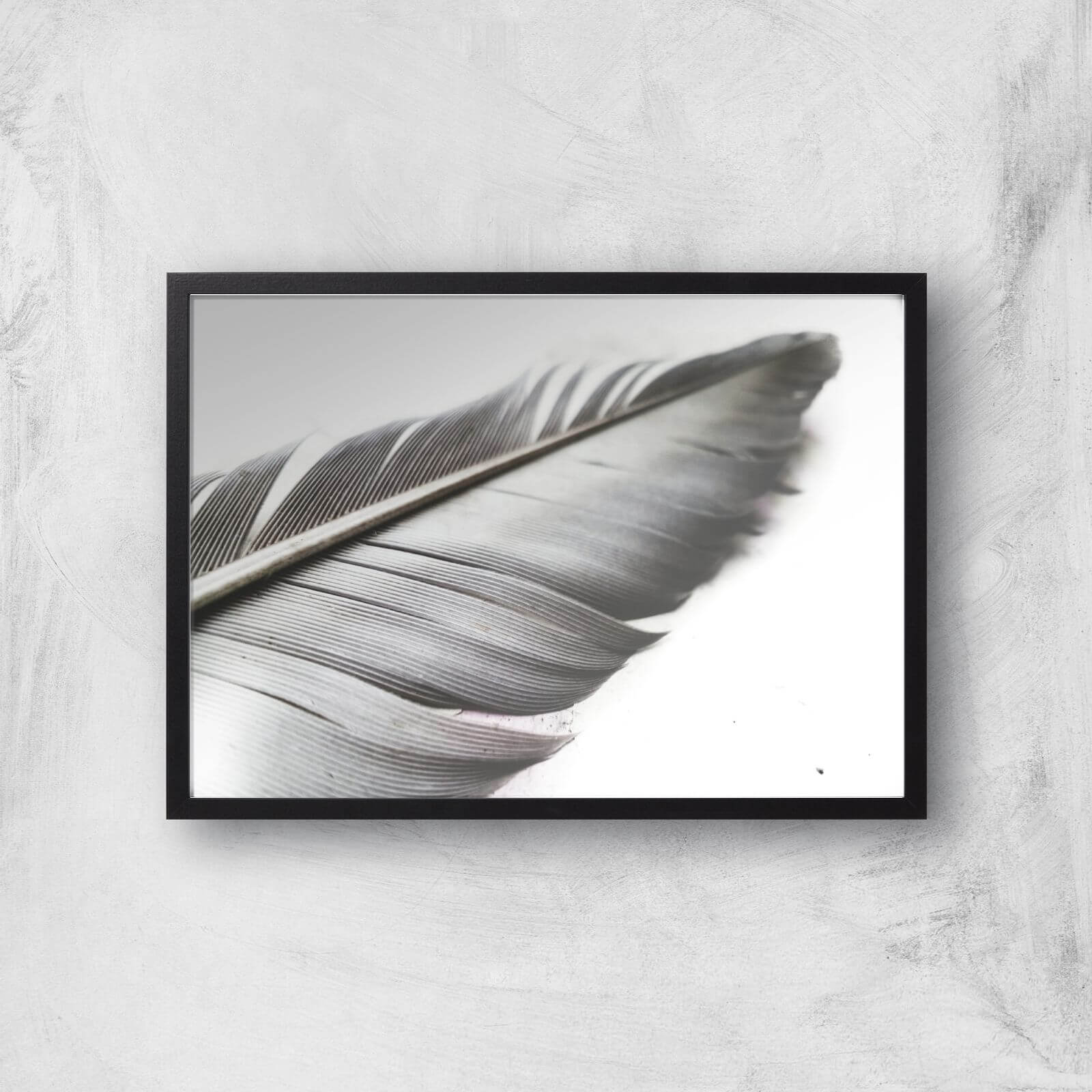 Leaf Or Feather? Giclee Art Print - A2 - Black Frame