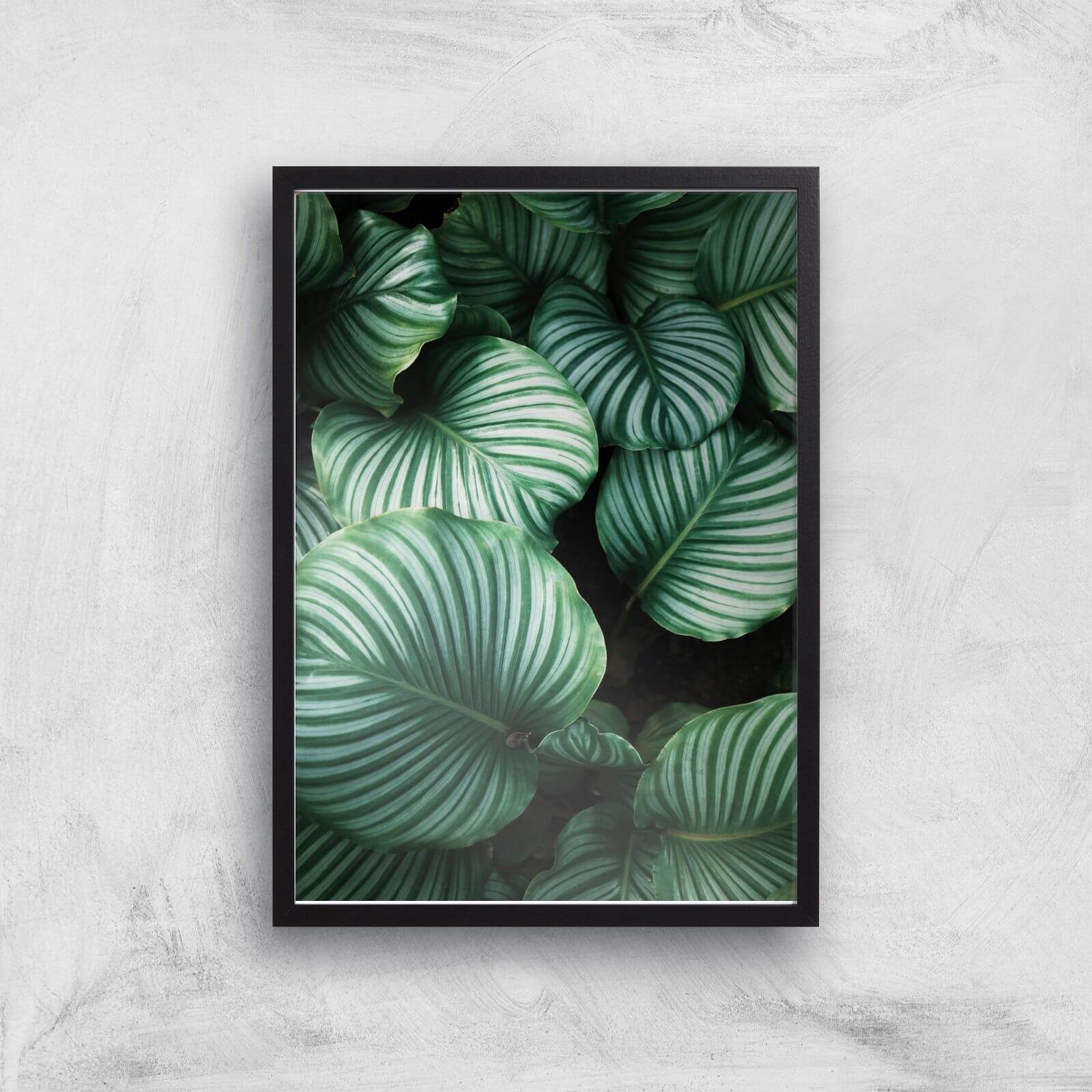 Leaves From Above Giclee Art Print - A3 - Black Frame