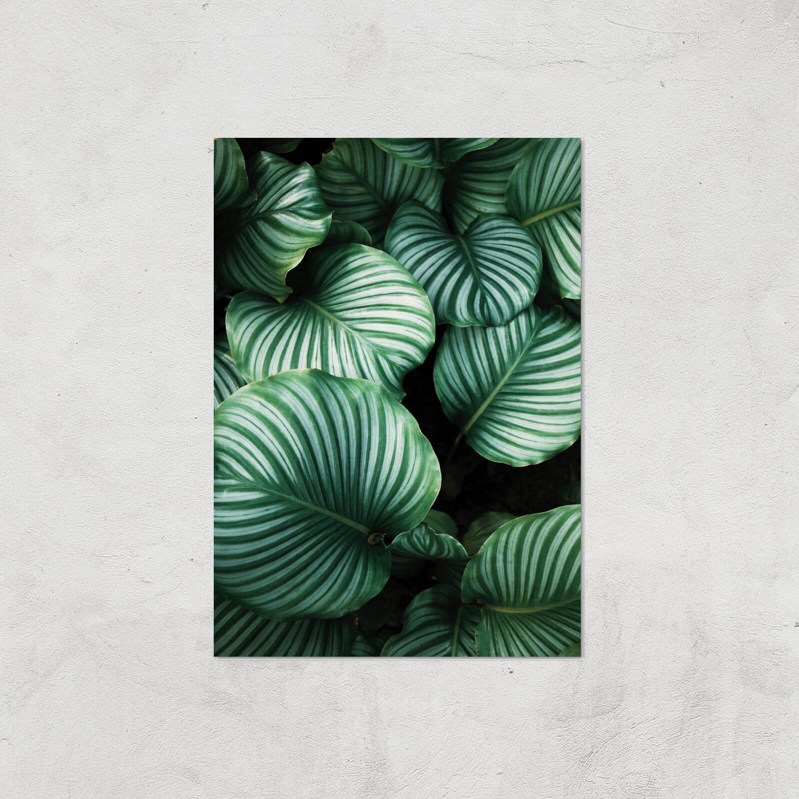 Leaves From Above Giclee Art Print - A2 - Print Only