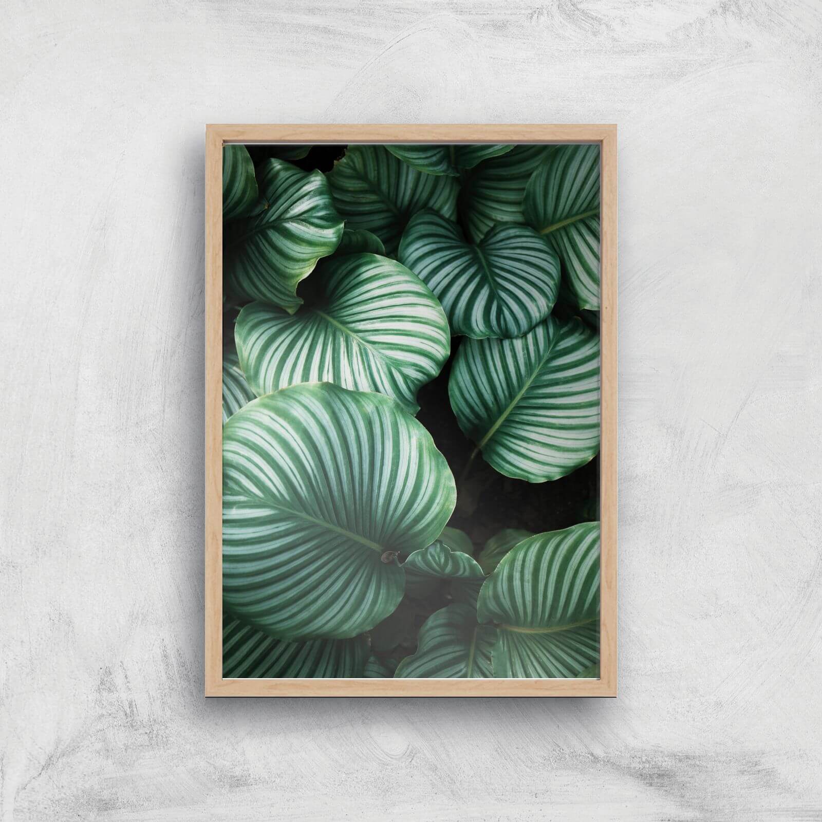 Leaves From Above Giclee Art Print - A2 - Wooden Frame