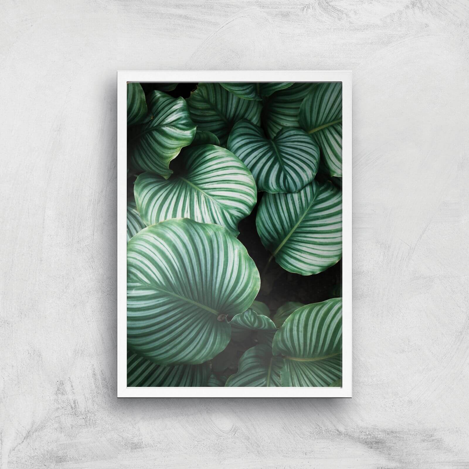 Leaves From Above Giclee Art Print - A2 - White Frame