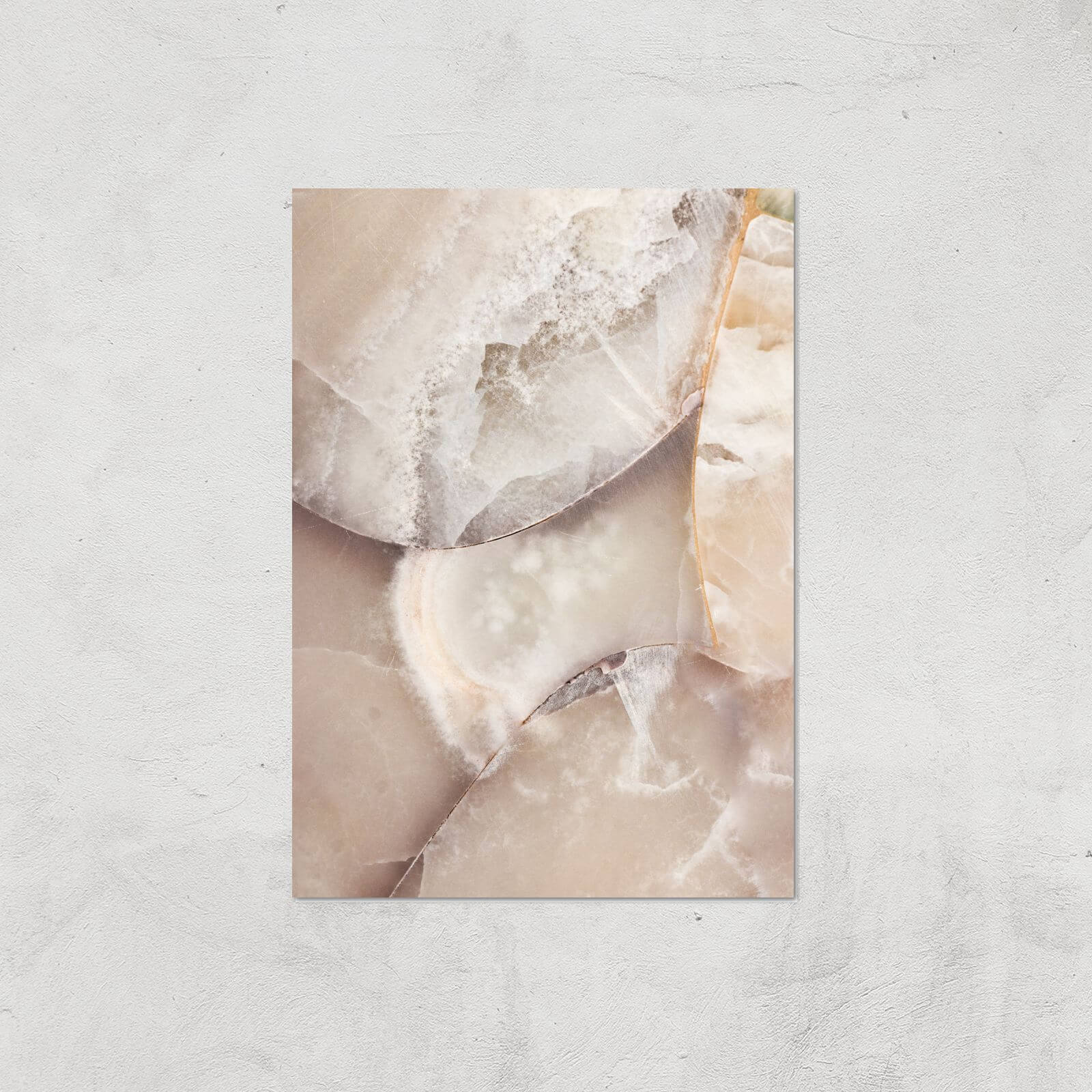 Shells Giclee Art Print - A2 - Print Only