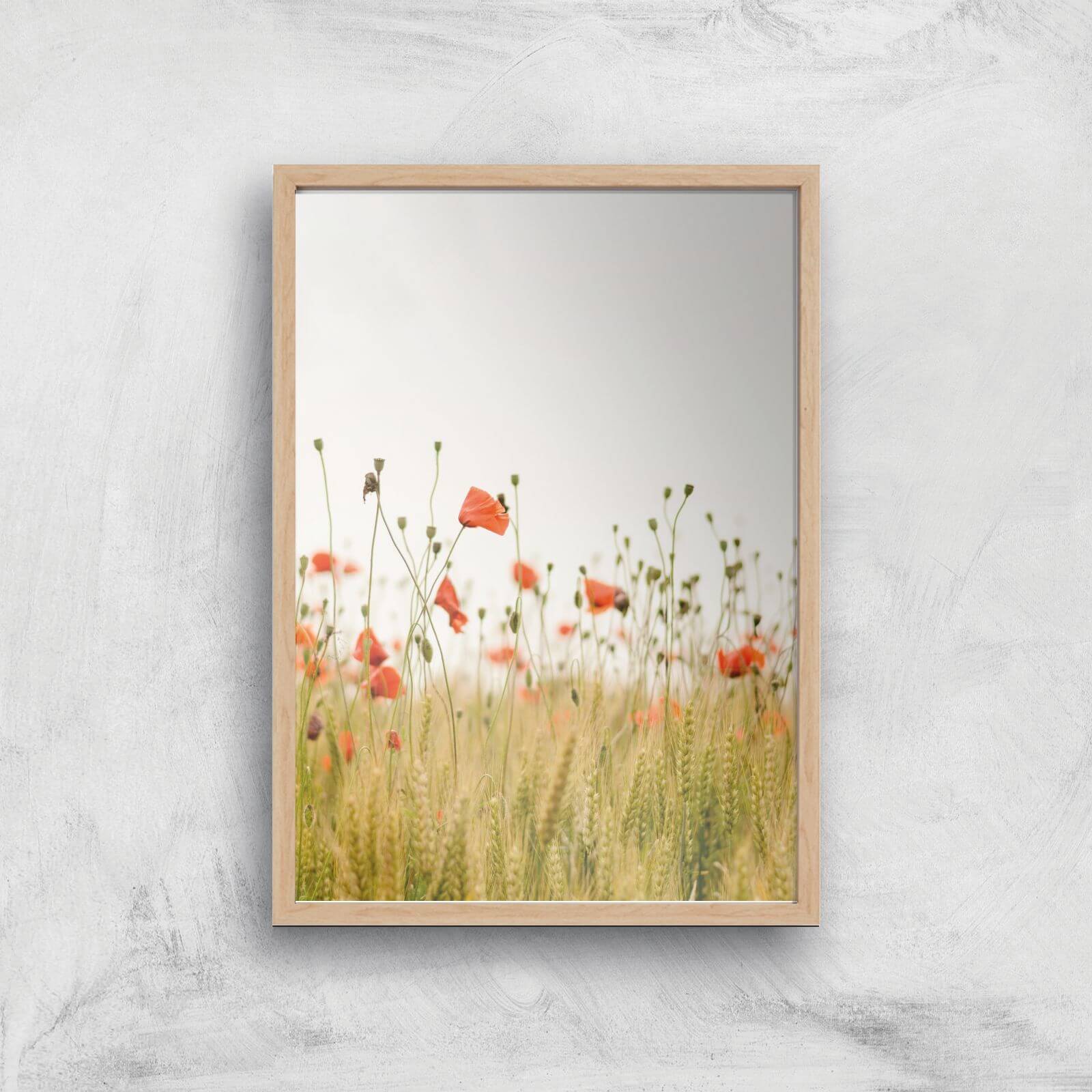 Poppy Fields Giclee Art Print - A4 - Wooden Frame