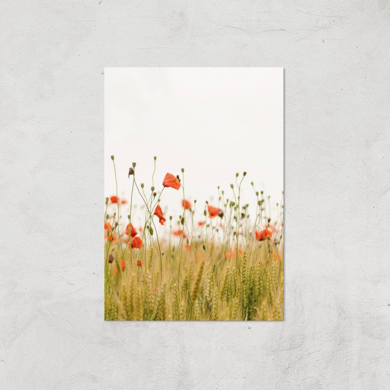 Poppy Fields Giclee Art Print - A2 - Print Only