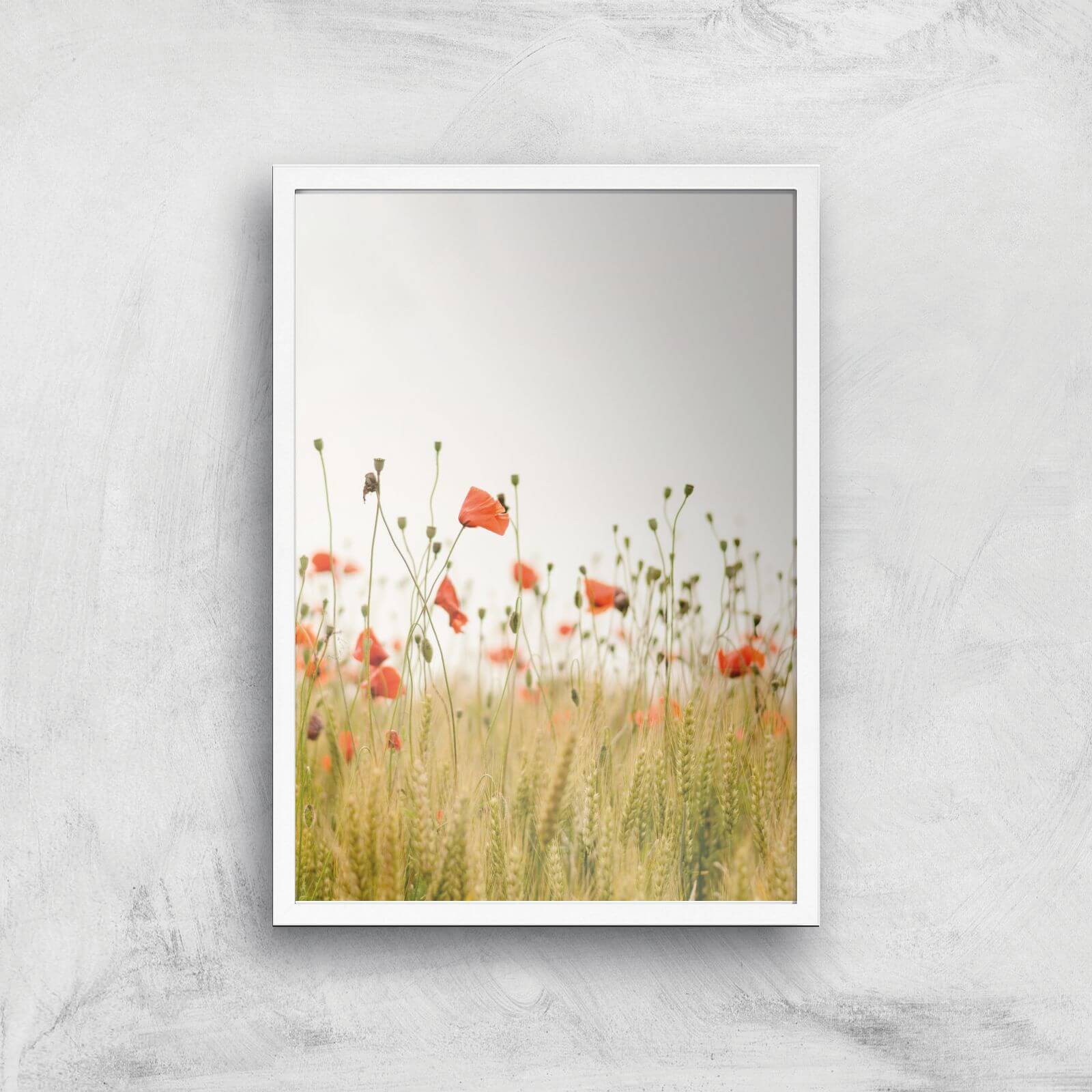 Poppy Fields Giclee Art Print - A2 - White Frame