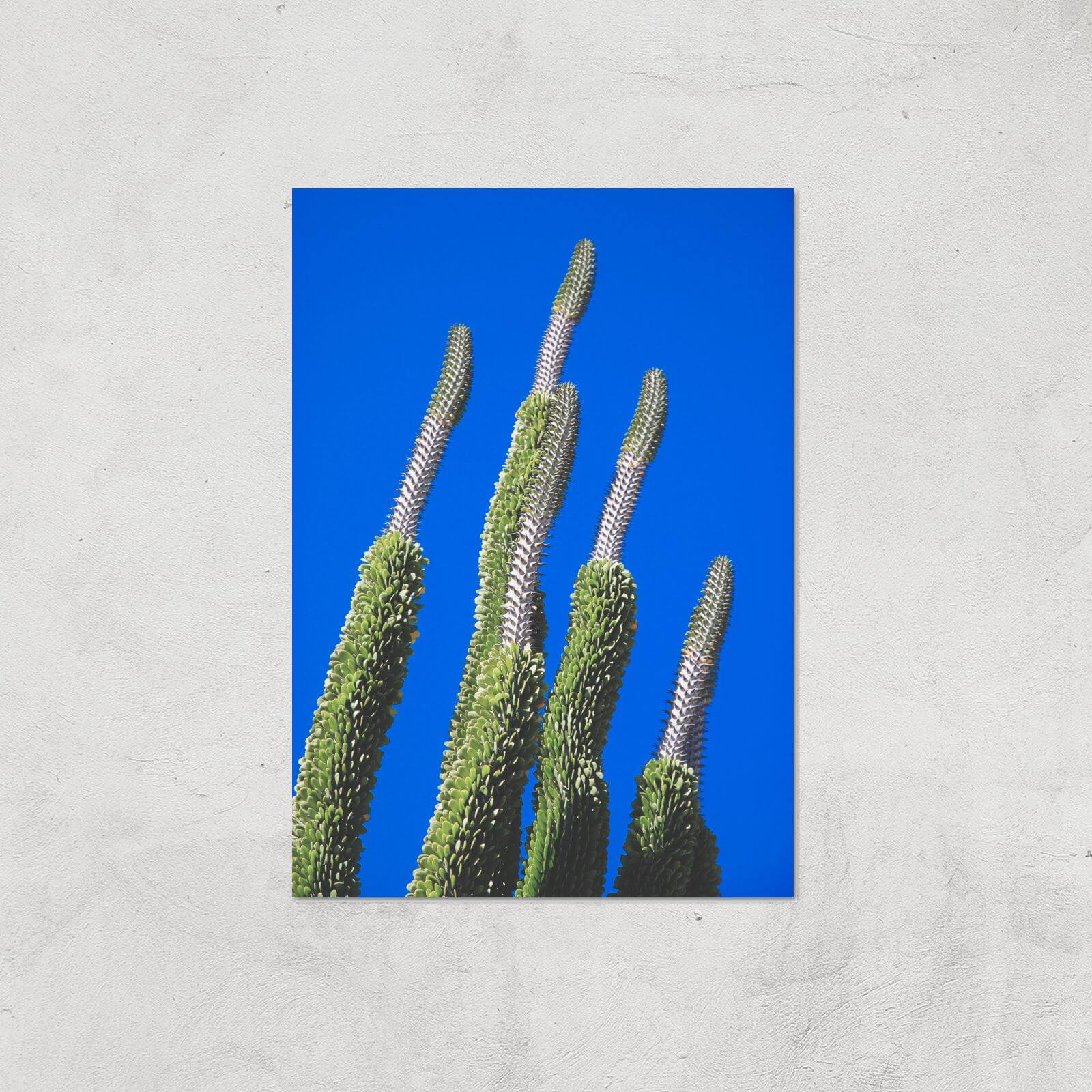 Summer Cactus Giclee Art Print - A2 - Print Only