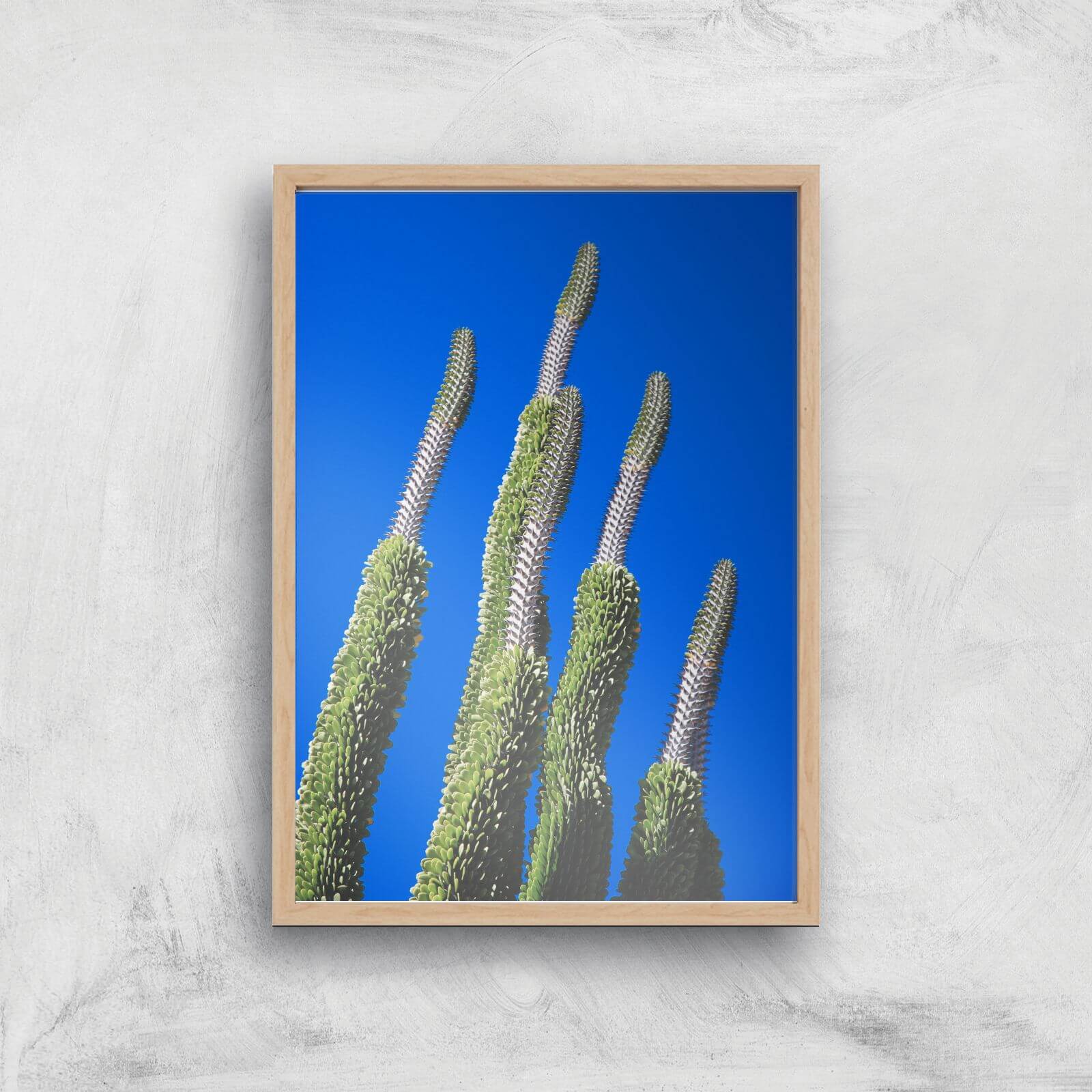 Summer Cactus Giclee Art Print - A2 - Wooden Frame