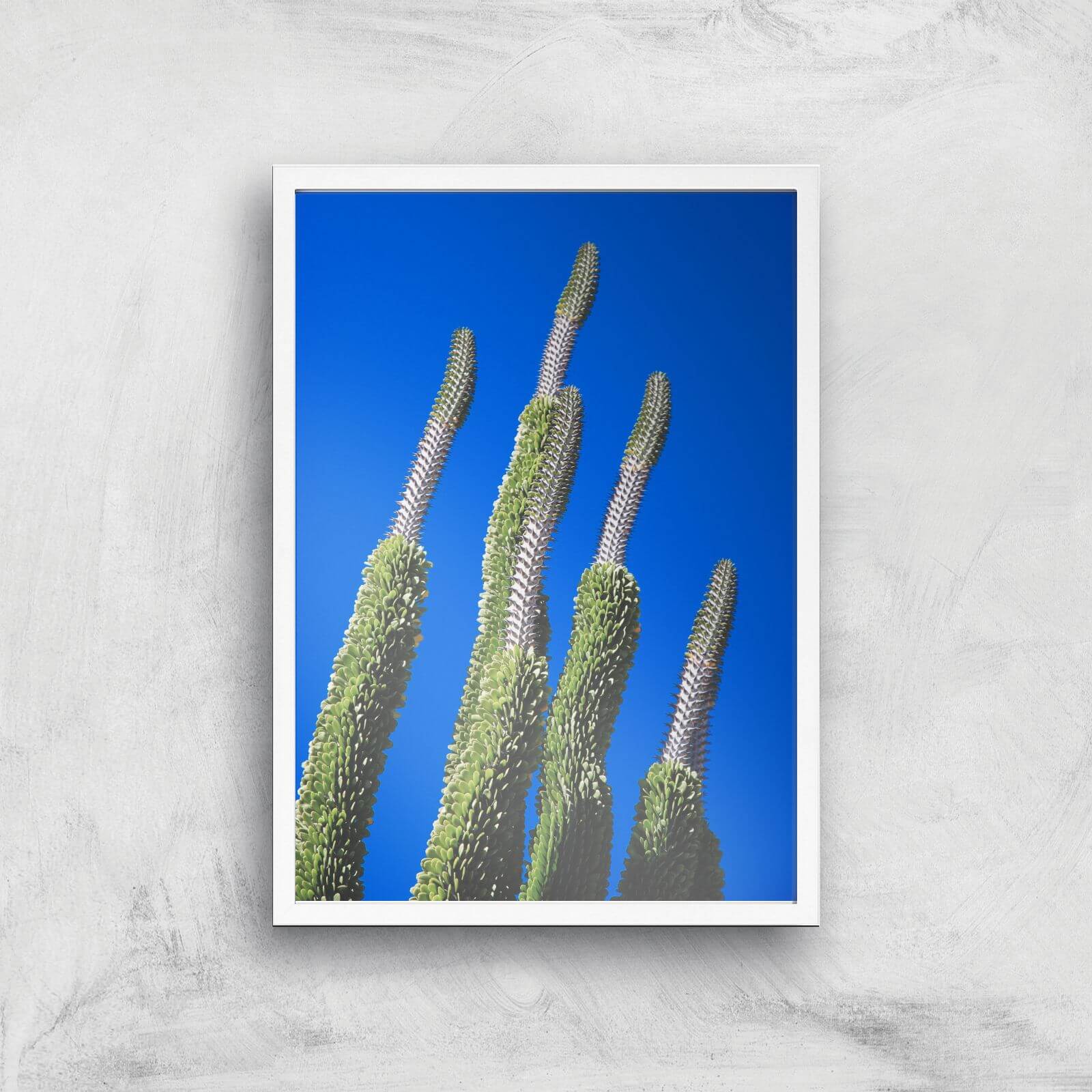 Summer Cactus Giclee Art Print - A2 - White Frame