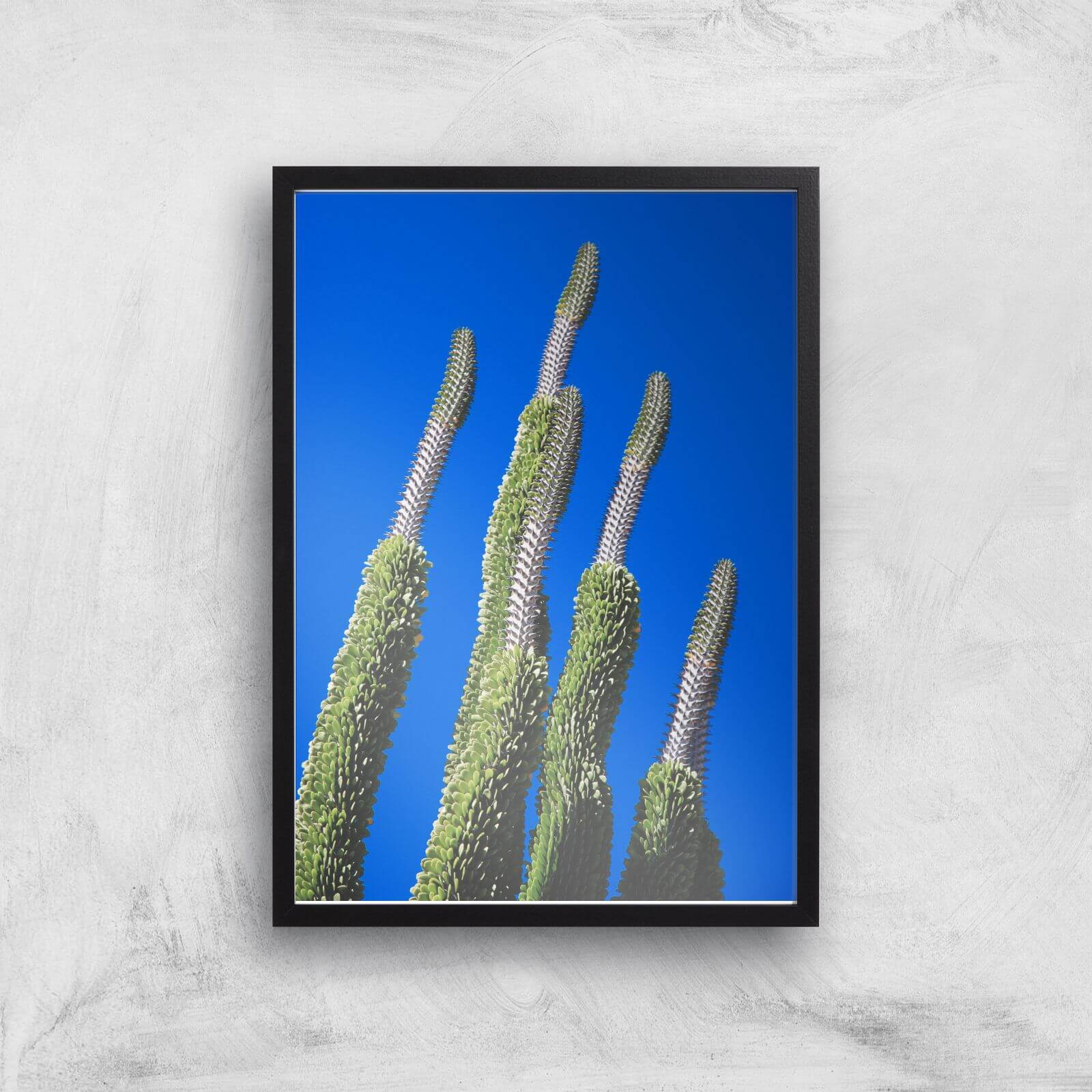 Summer Cactus Giclee Art Print - A2 - Black Frame