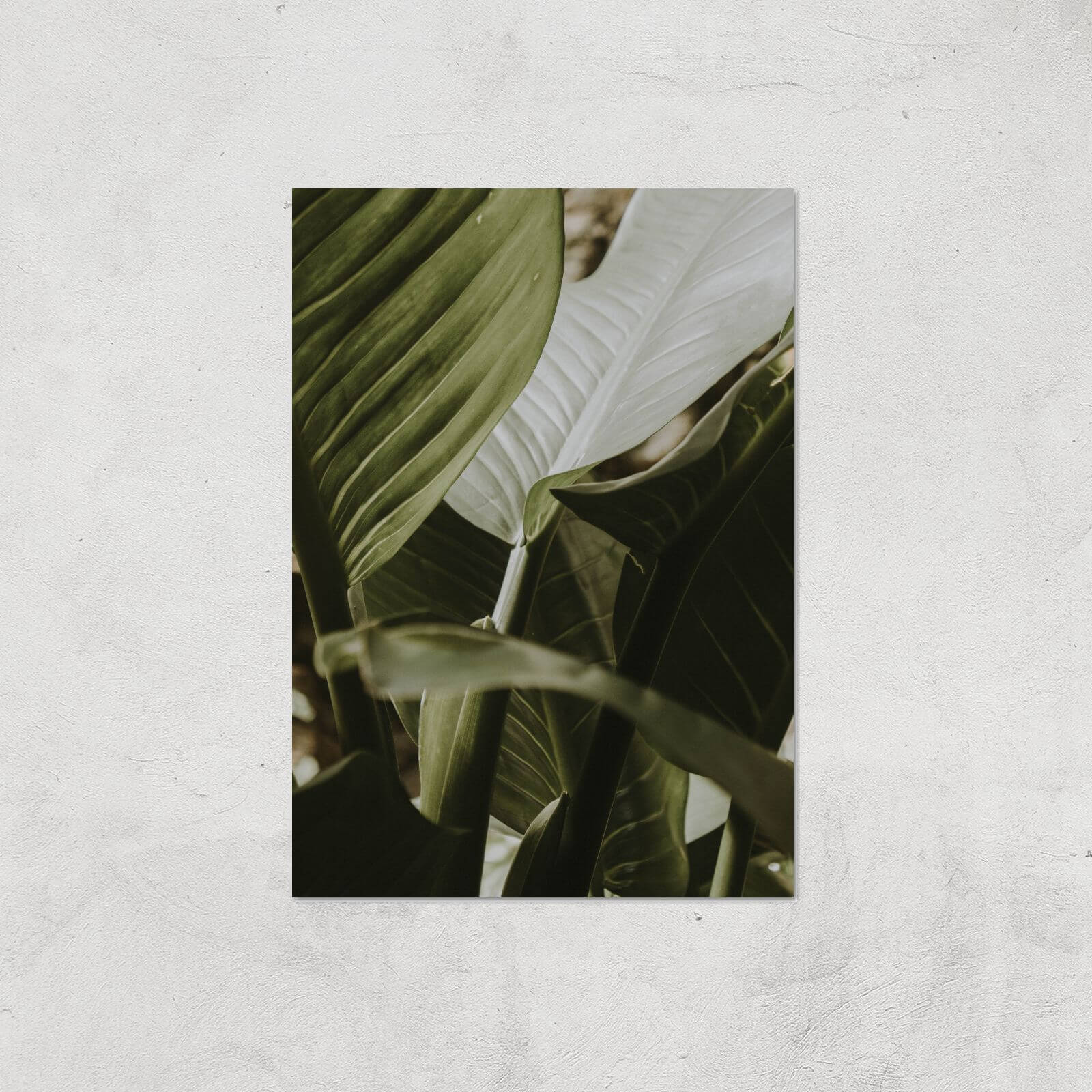 Saturated Leaves Giclee Art Print - A4 - Print Only