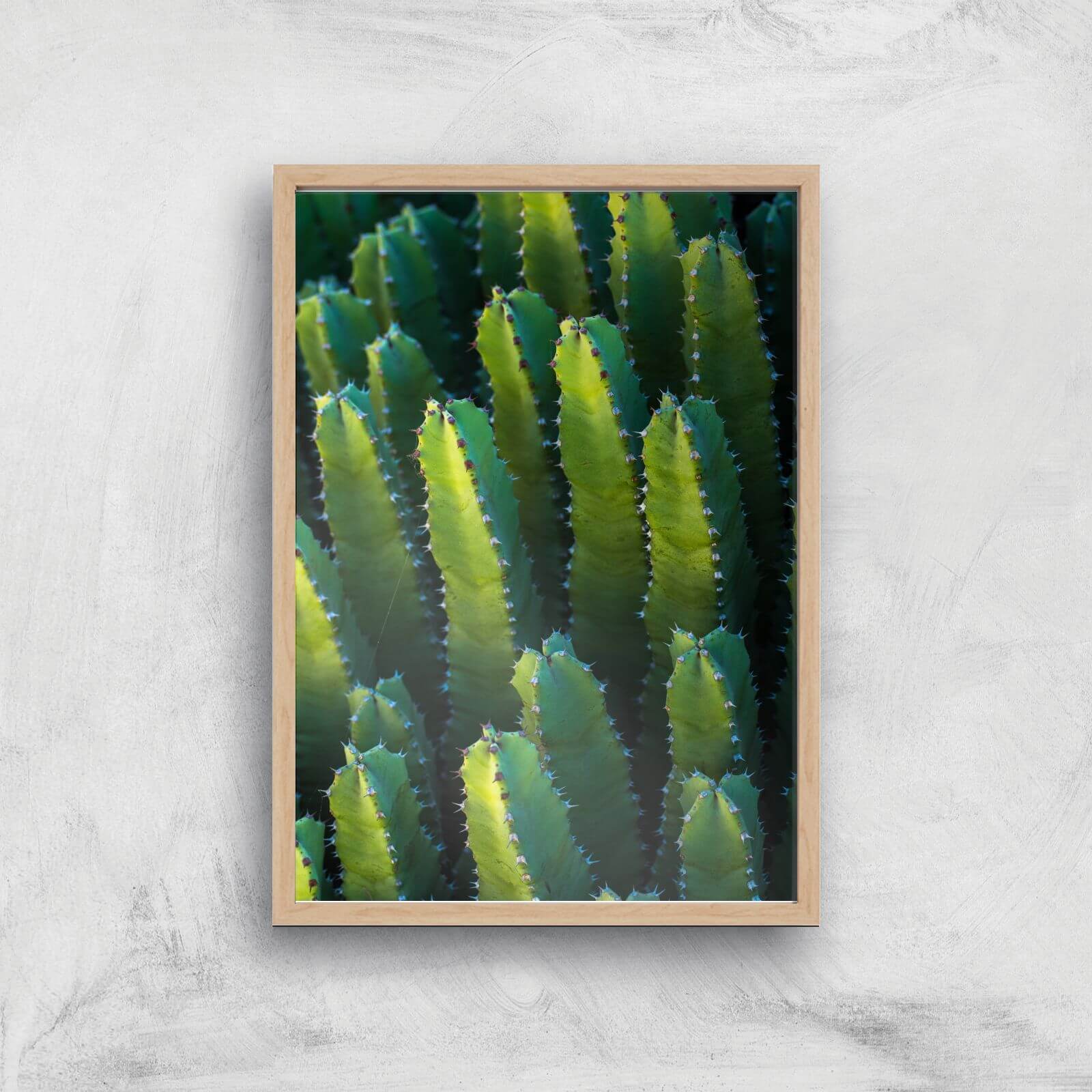 Cactus From Above Giclee Art Print - A3 - Wooden Frame