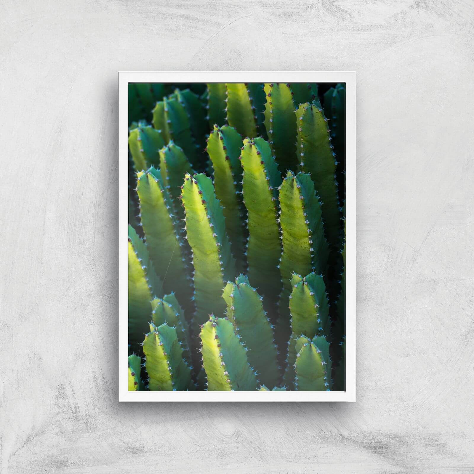 Cactus From Above Giclee Art Print - A2 - White Frame