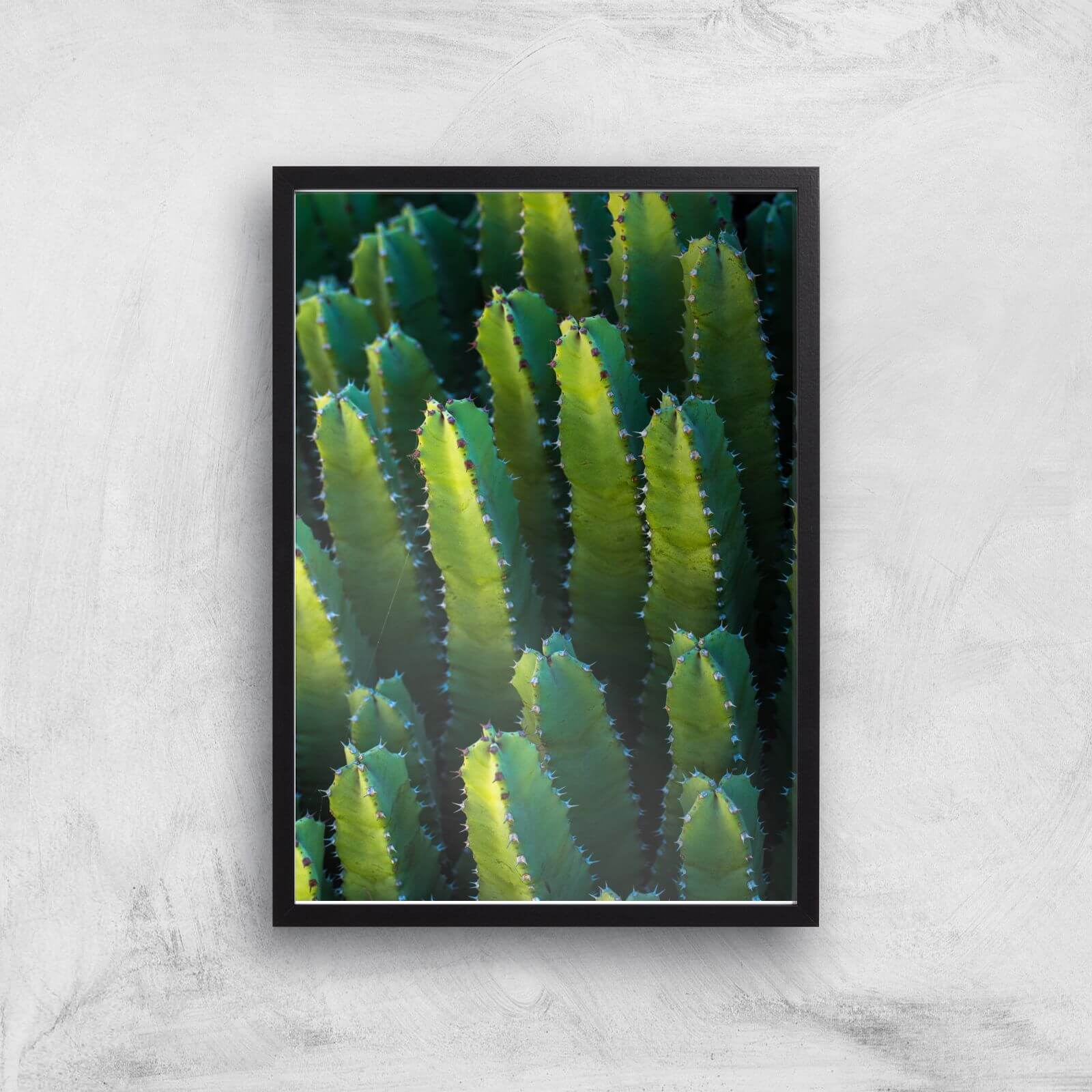 Cactus From Above Giclee Art Print - A2 - Black Frame