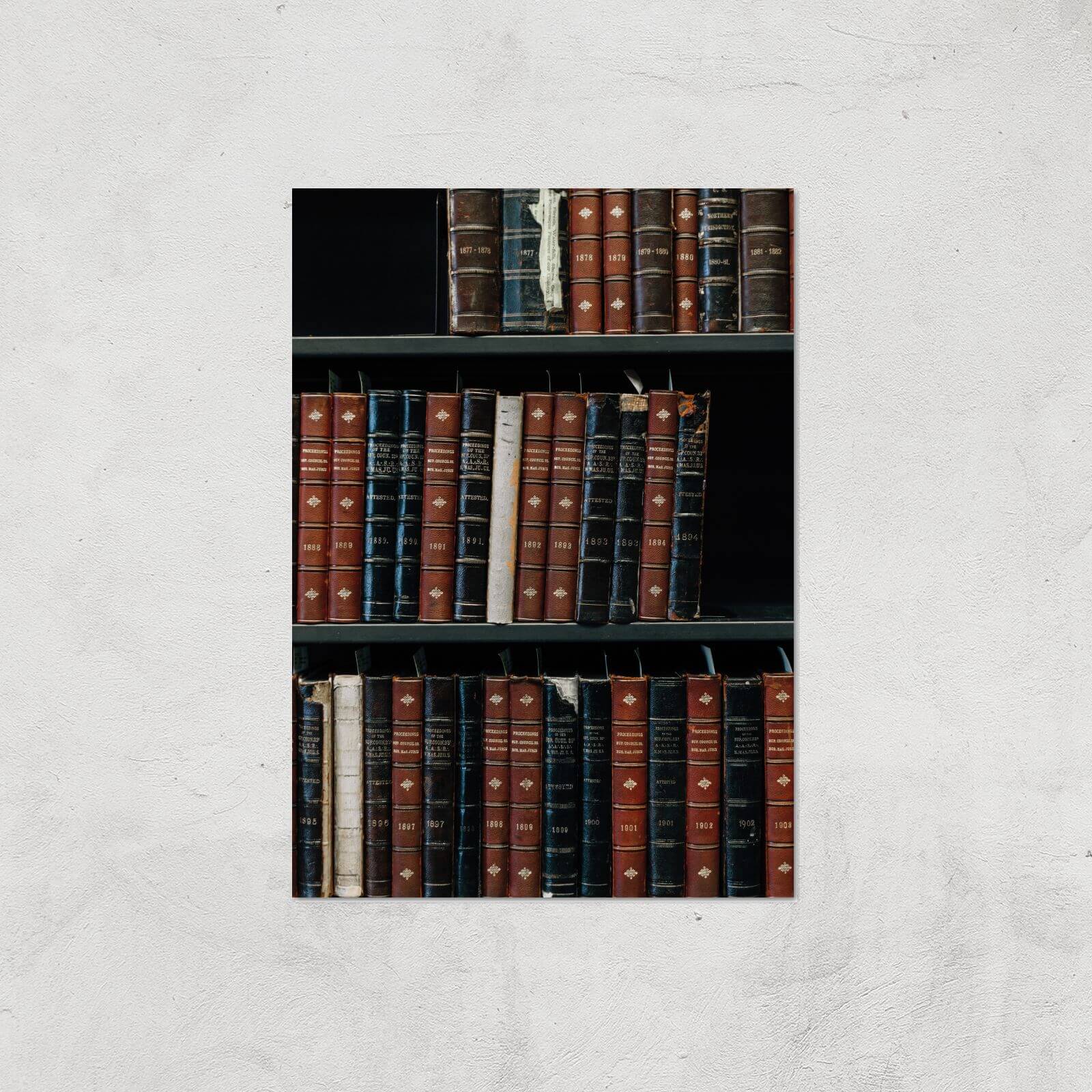 Bookcase Giclee Art Print - A4 - Print Only